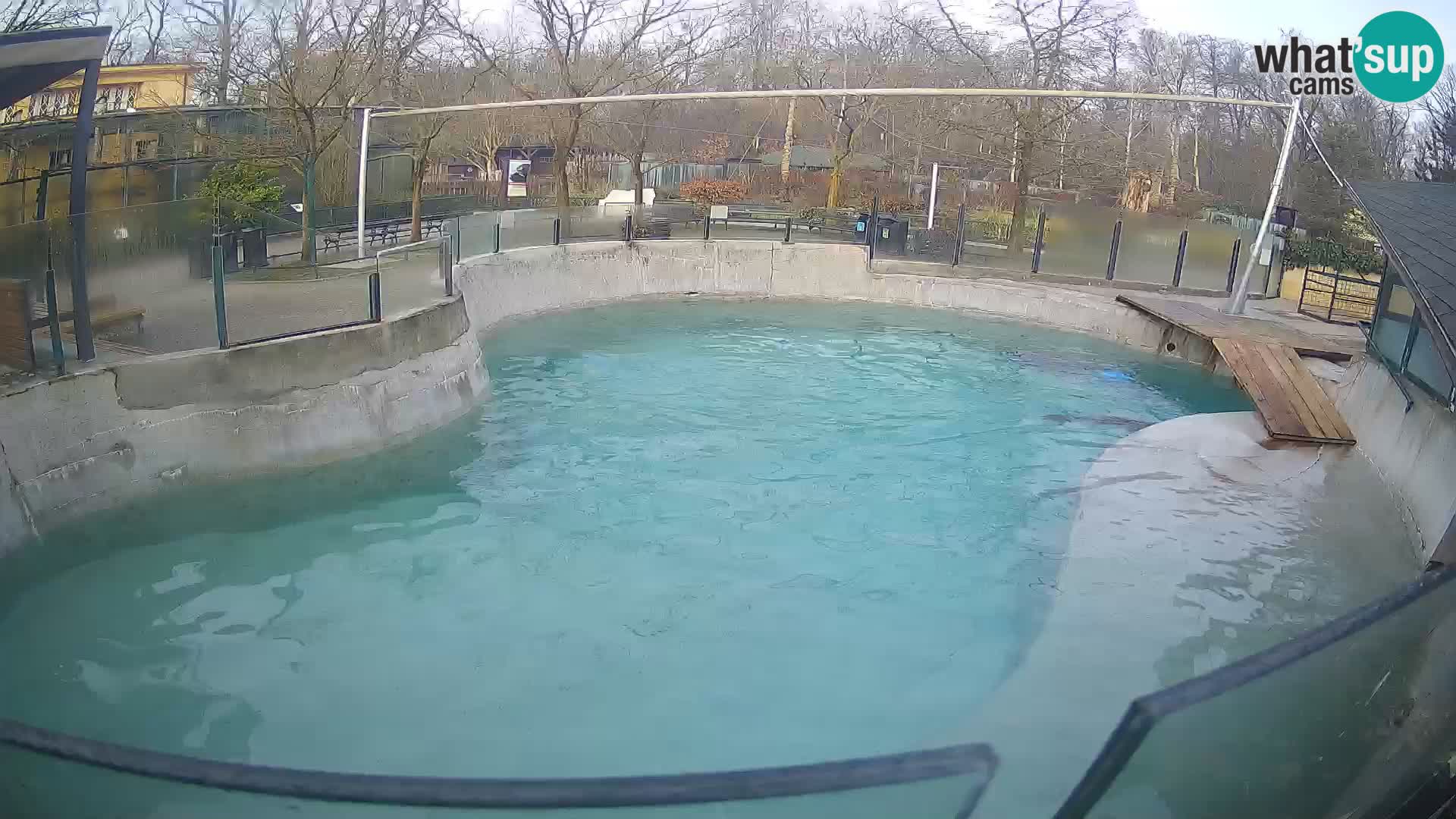 Zoo Zagreb – Otarie de Californie