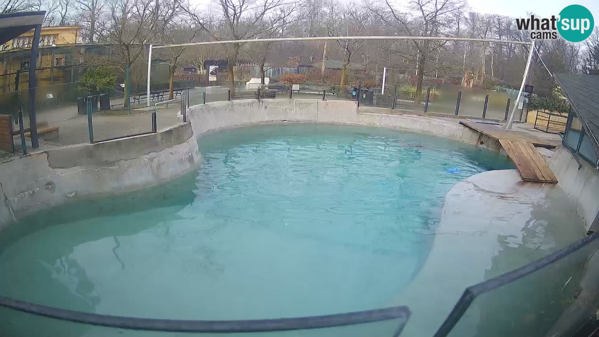 Zoo Zagreb – Otarie de Californie