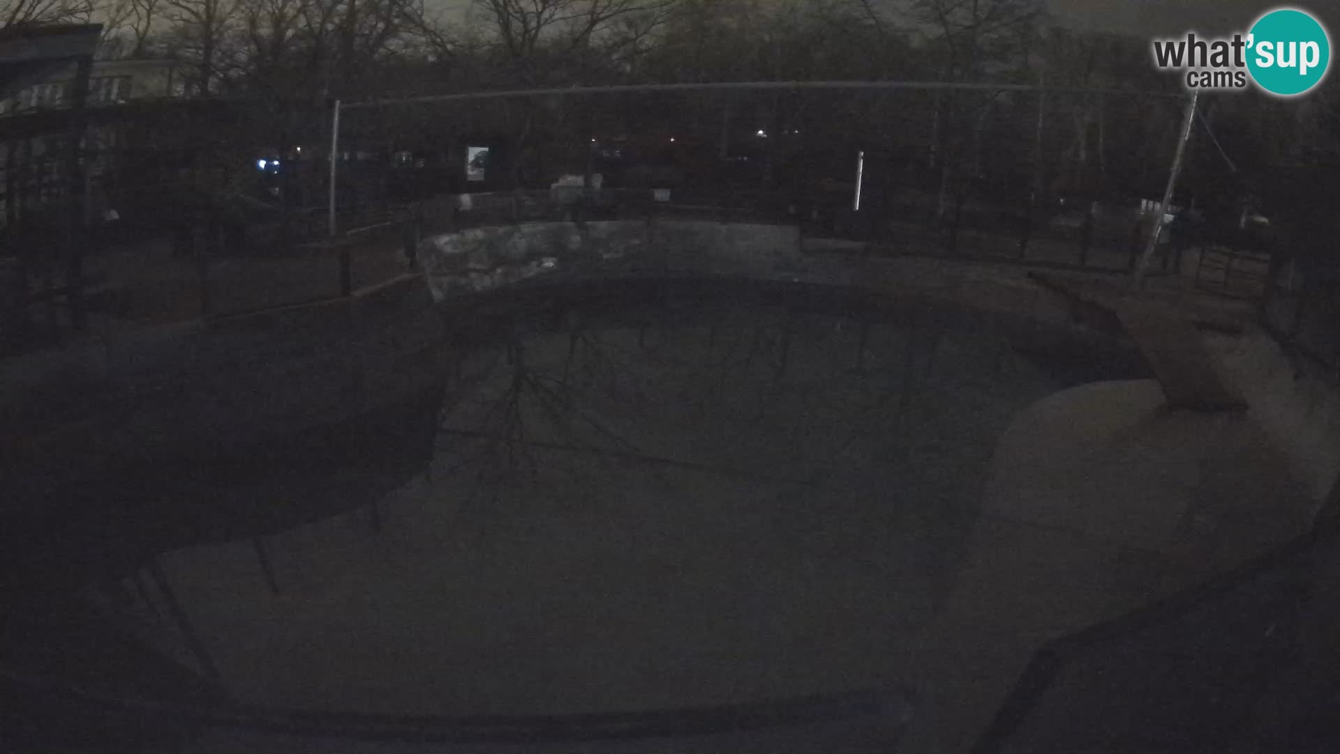 Zoo Zagreb –  León marino de California