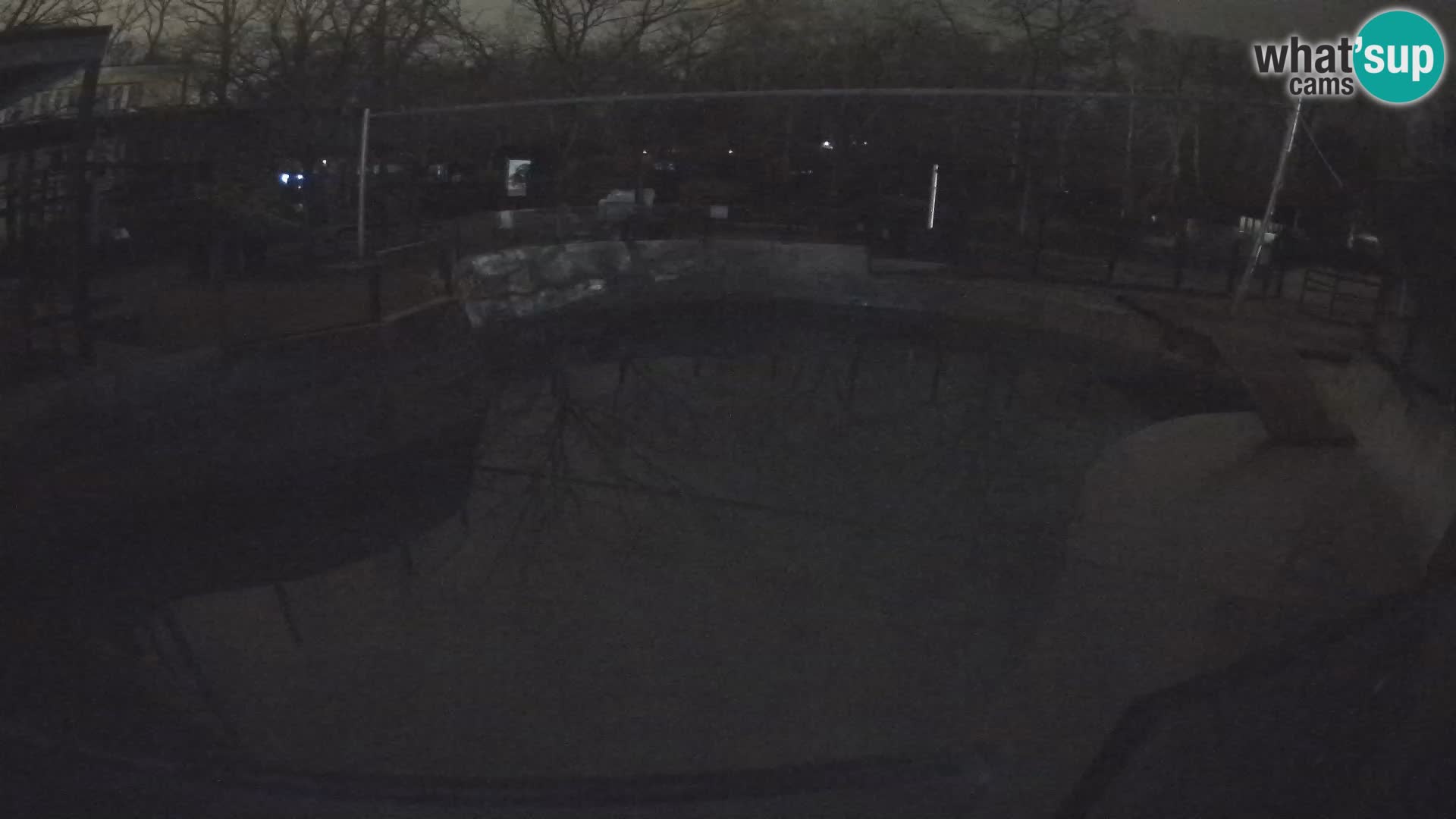 Zoo Zagreb – Otarie de Californie