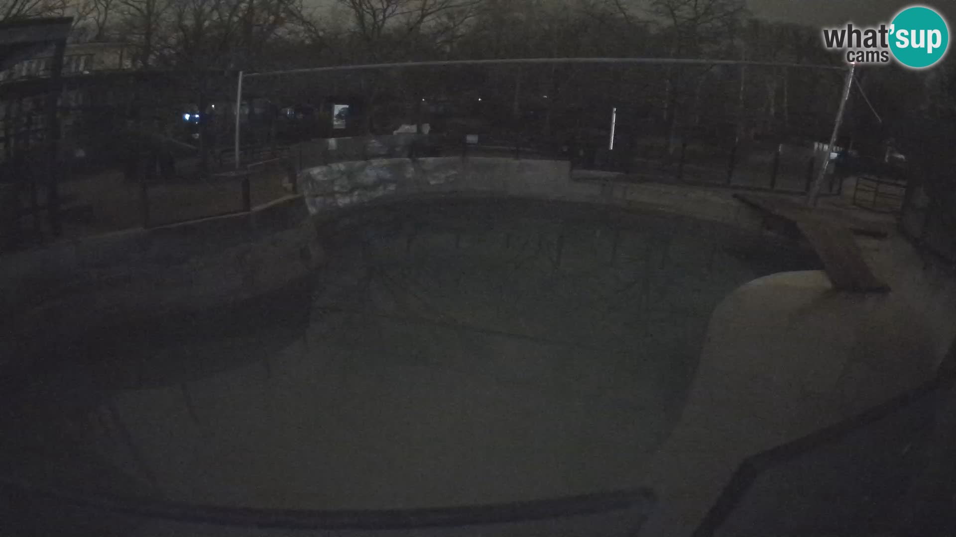 Zoo Zagreb – Kalifornijski morski lav