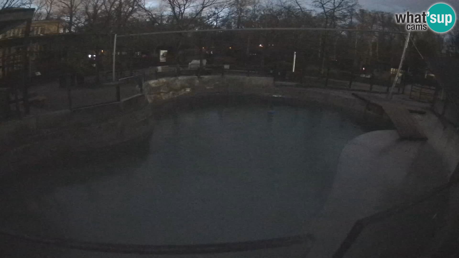 Zoo Zagreb – Otarie de Californie