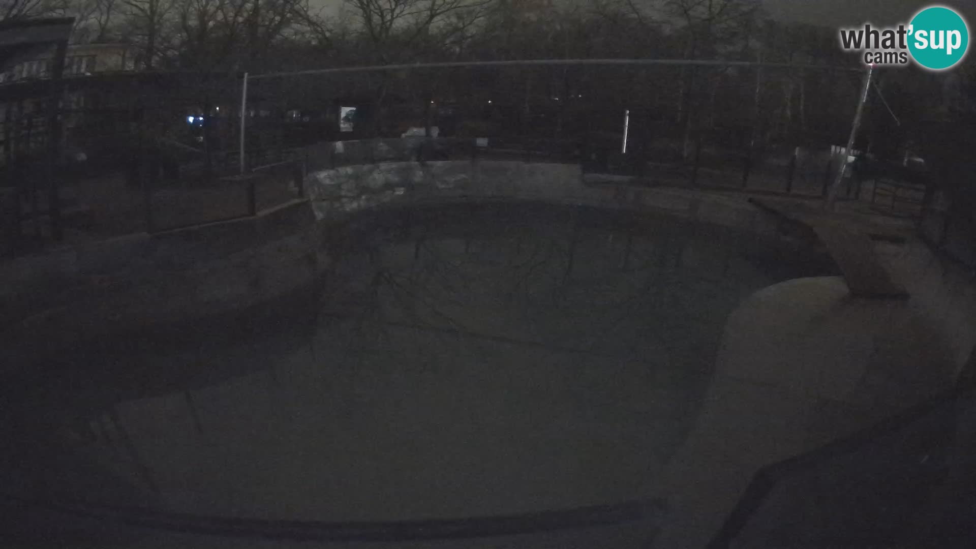 Zoo Zagreb – Kalifornijski morski lav