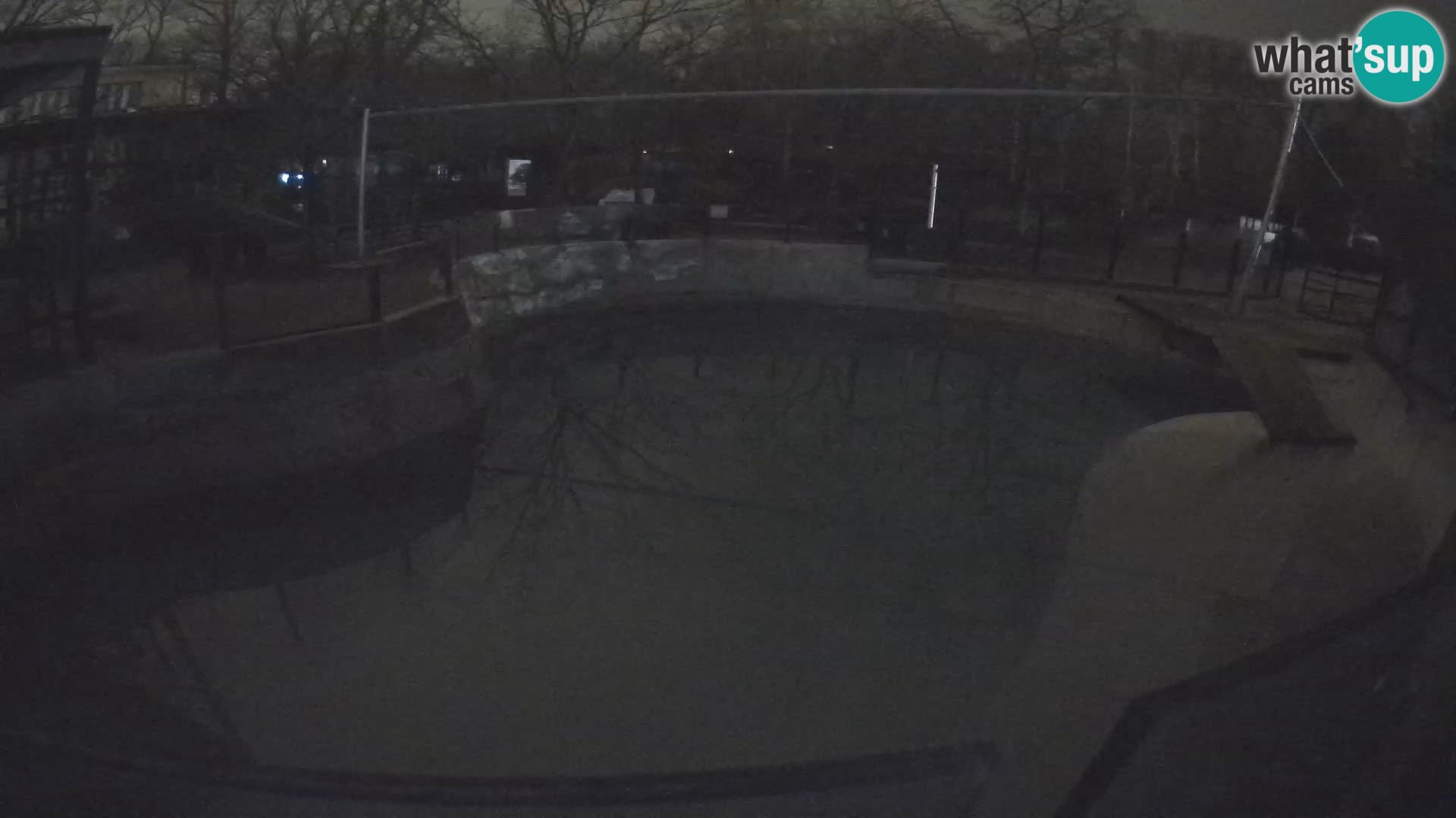 Zoo Zagreb –  León marino de California