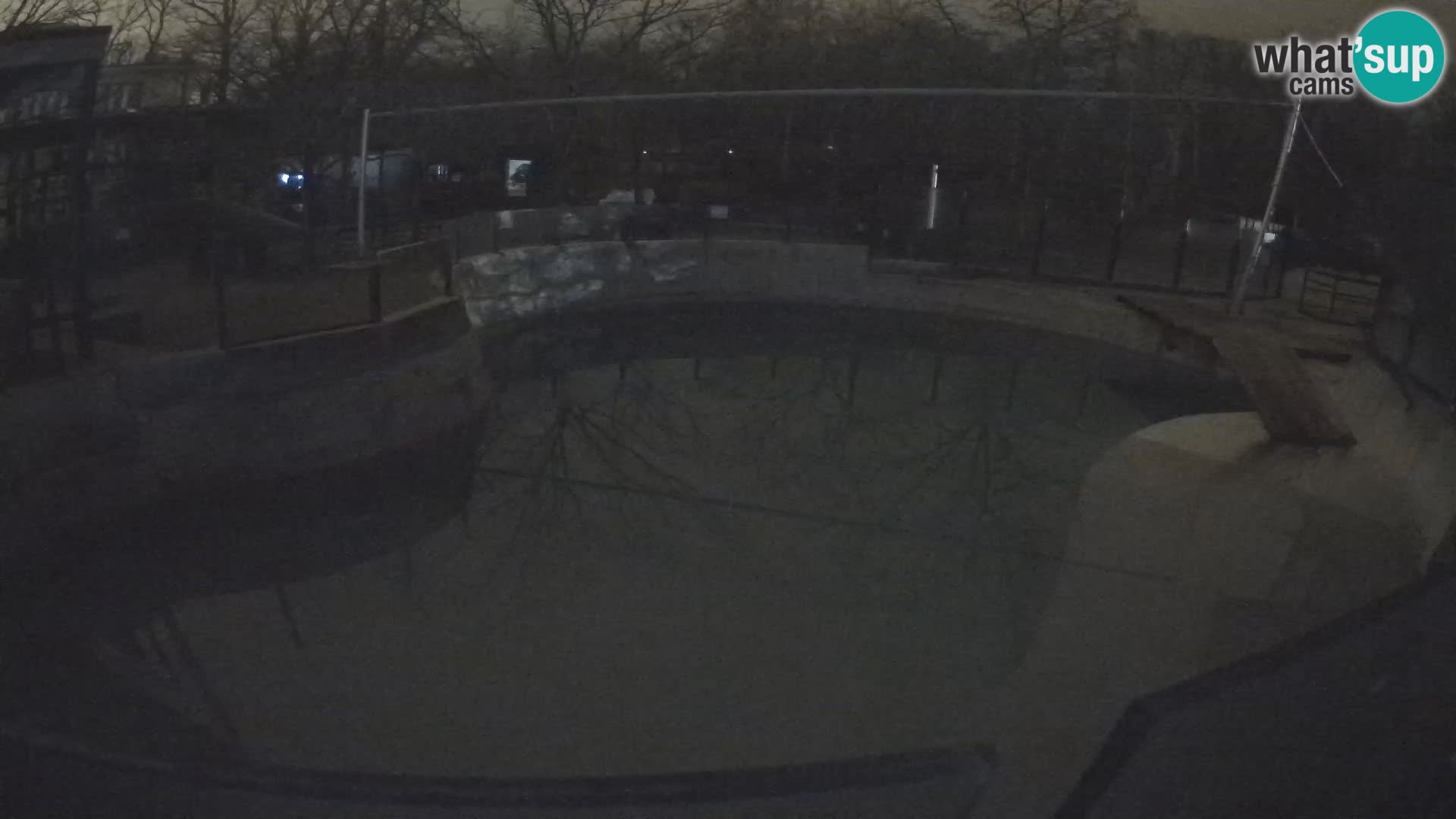 Zoo Zagreb – Kalifornijski morski lav