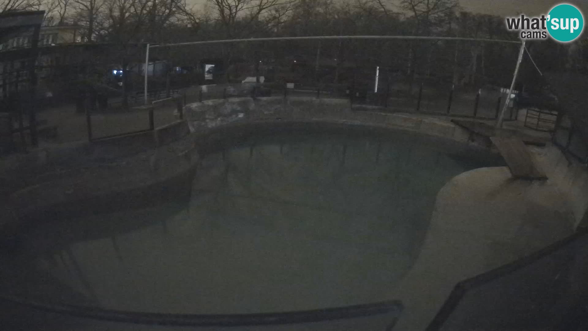 Zoo Zagreb – Kalifornijski morski lav