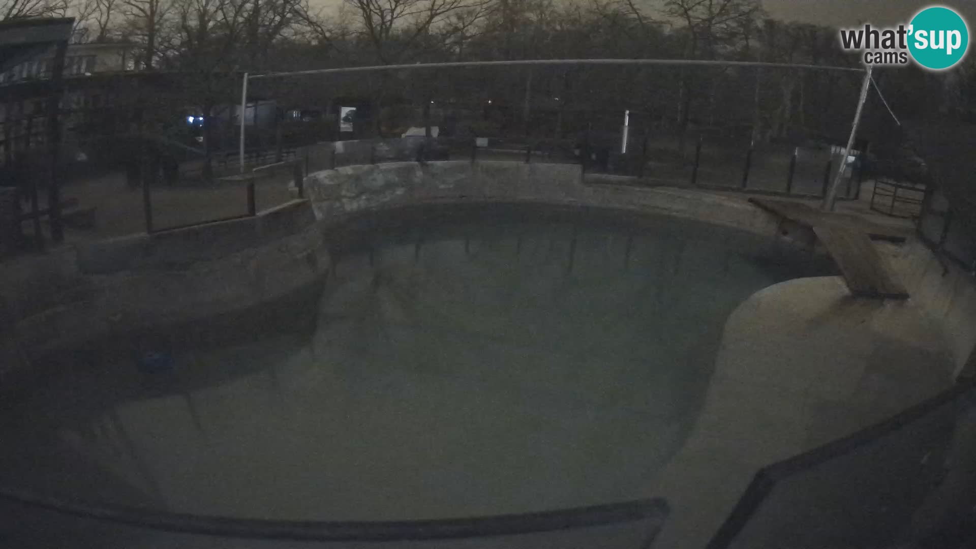 Zoo Zagreb –  León marino de California