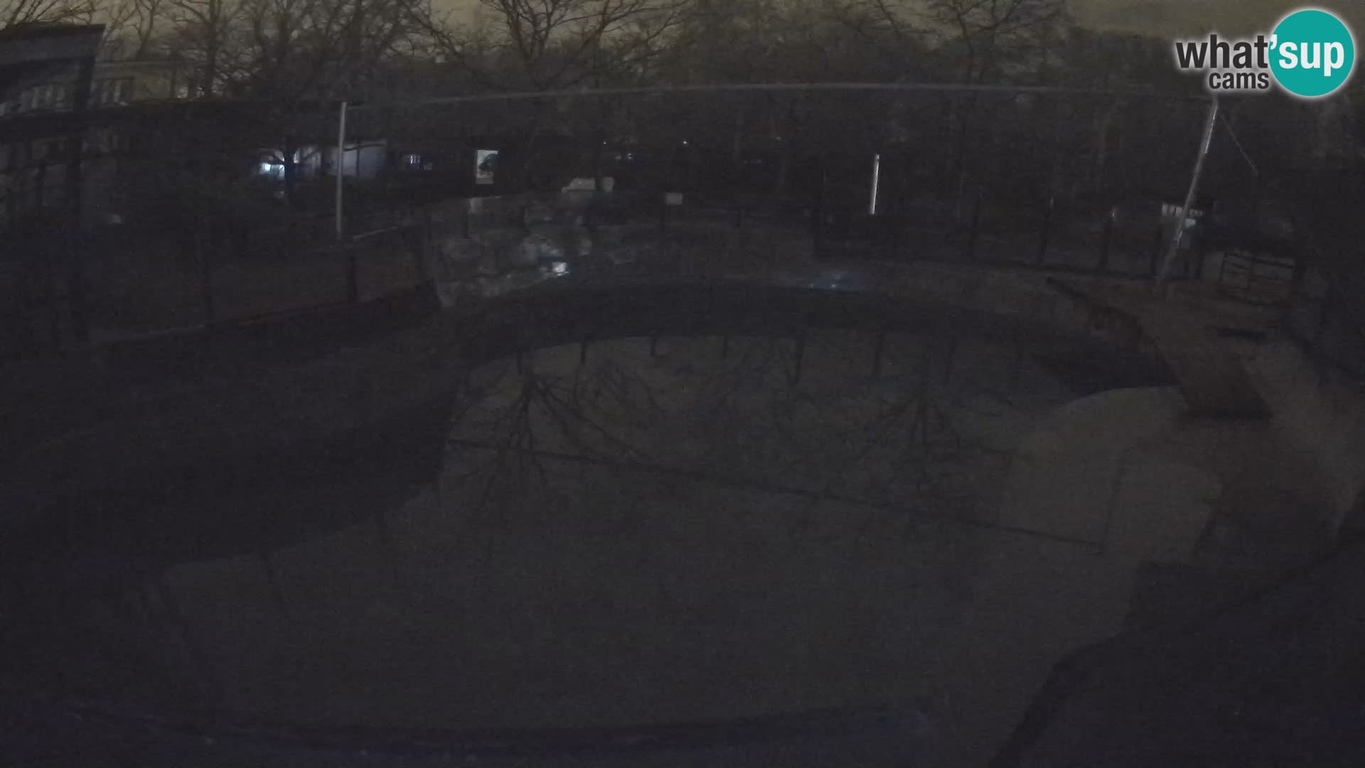 Zoo Zagreb – Otarie de Californie