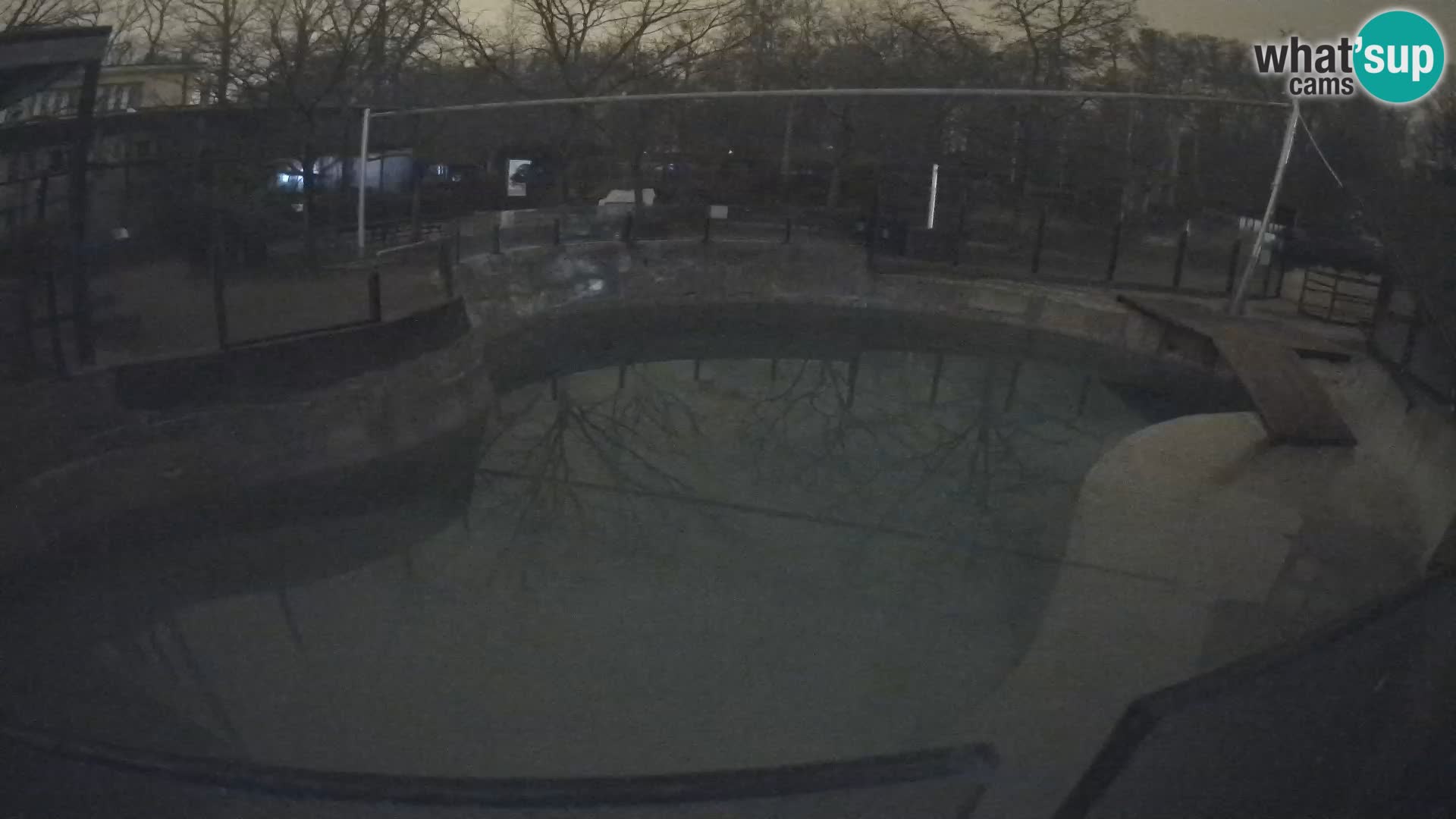 Zoo Zagreb –  León marino de California