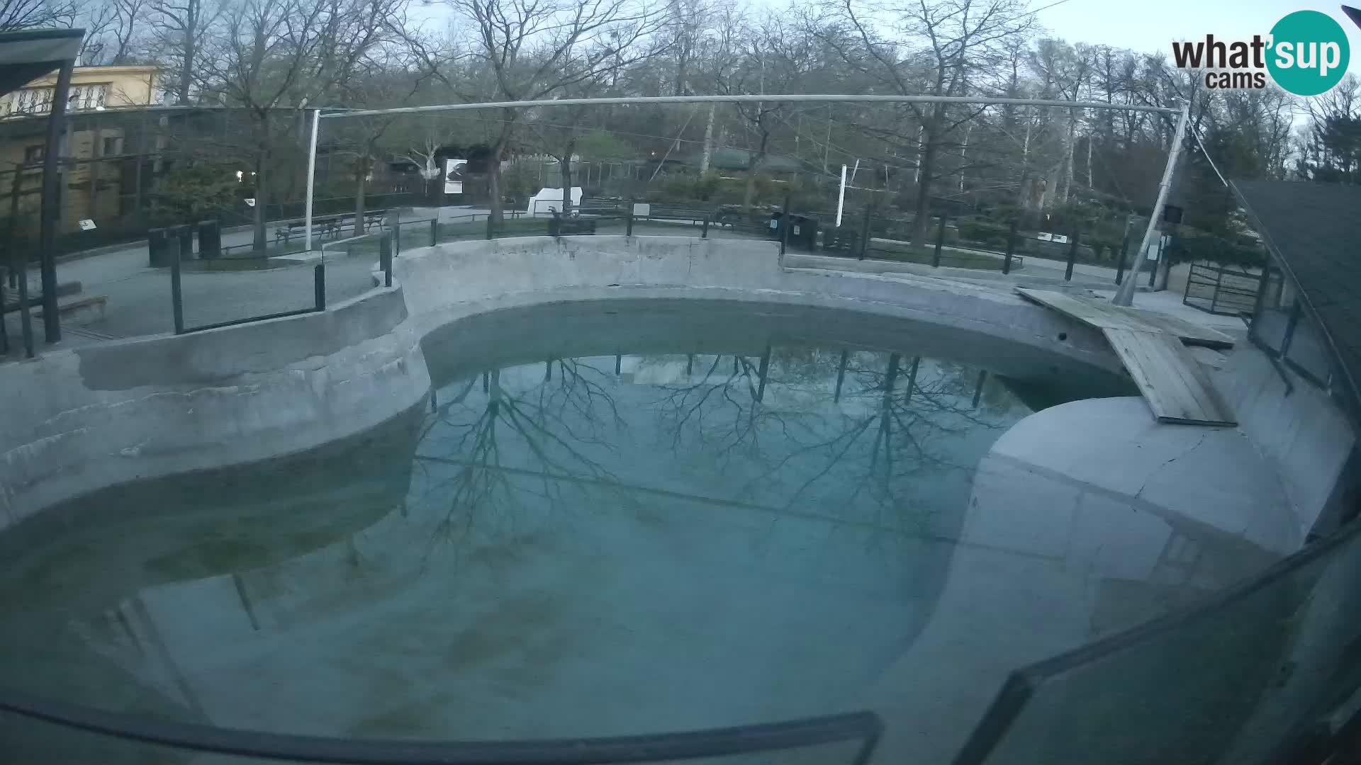 Zoo Zagreb – Otarie de Californie