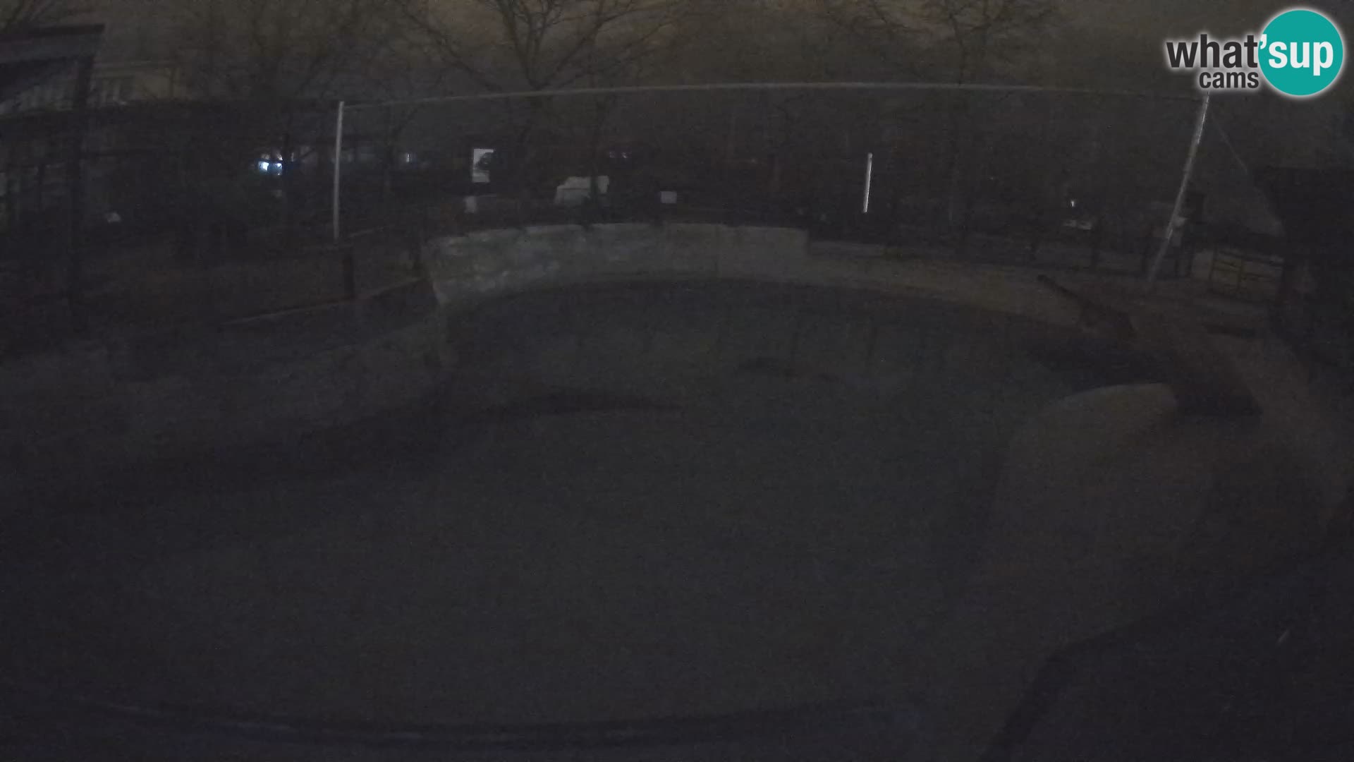 Zoo Zagreb – Otarie de Californie