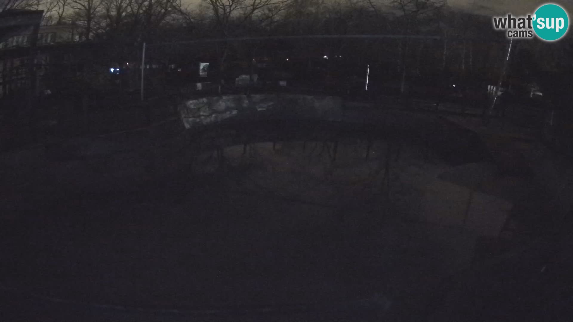 Zoo Zagreb – Kalifornijski morski lav