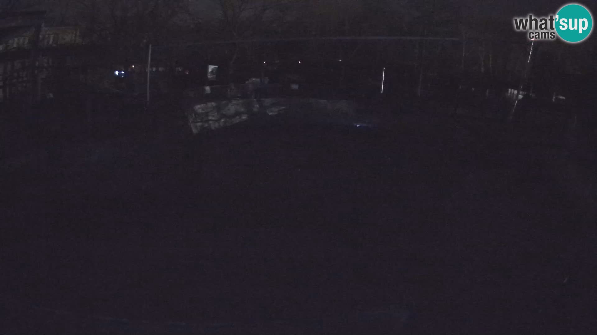 Zoo Zagreb – Kalifornijski morski lav