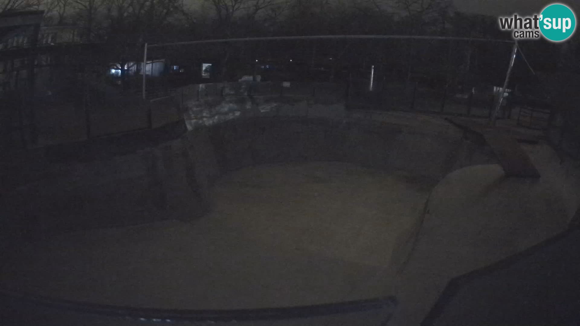 Zoo Zagreb – Kalifornijski morski lav