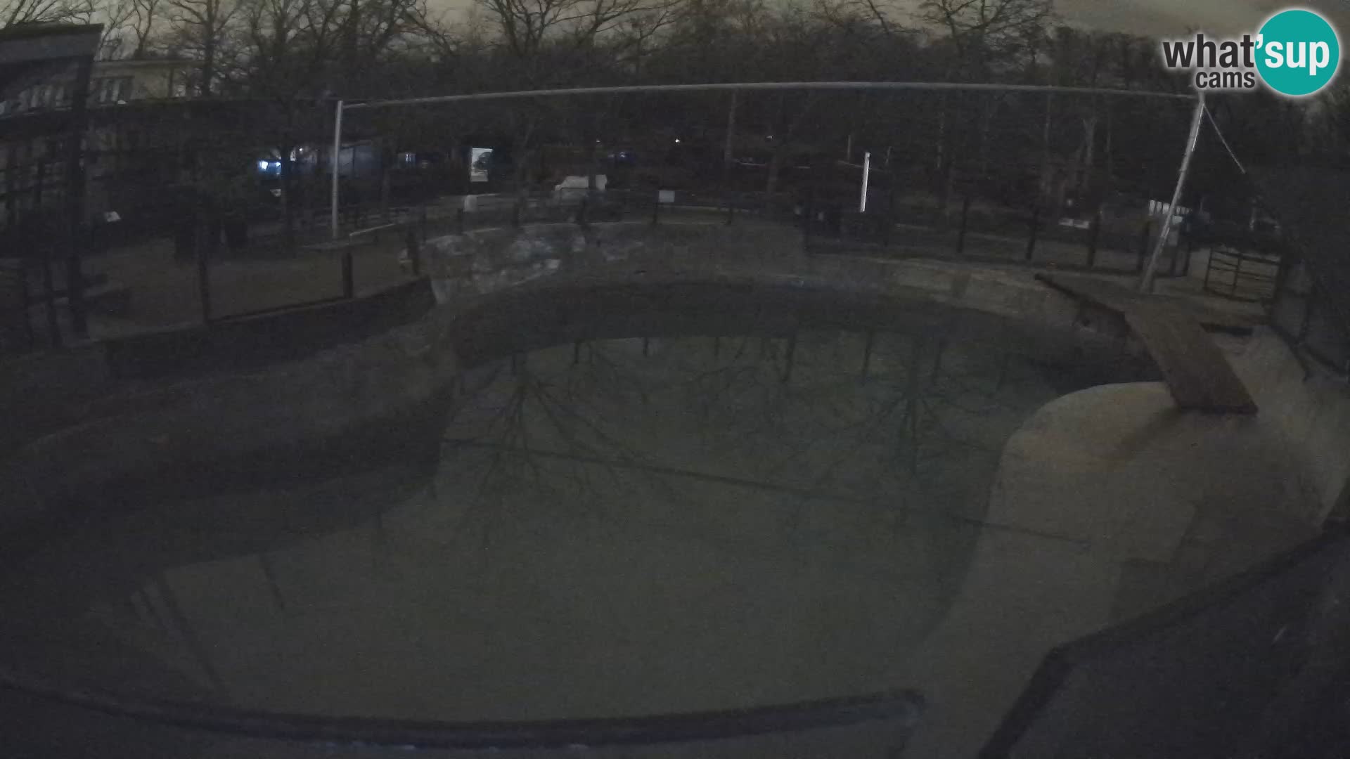 Zoo Zagreb – Otarie de Californie