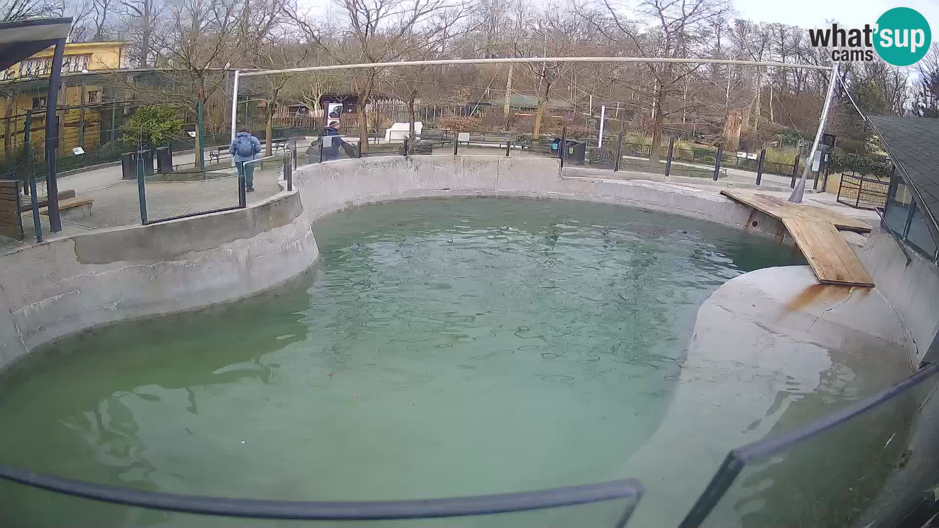 Zoo Zagreb –  León marino de California