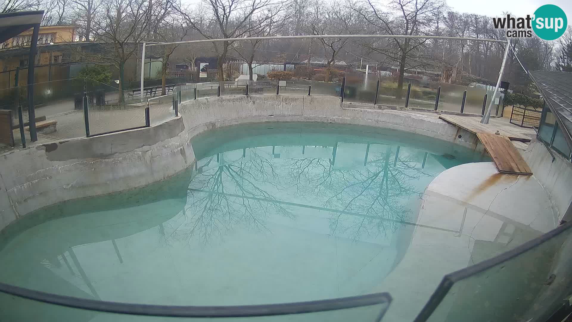 Zoo Zagreb – California Sea Lion