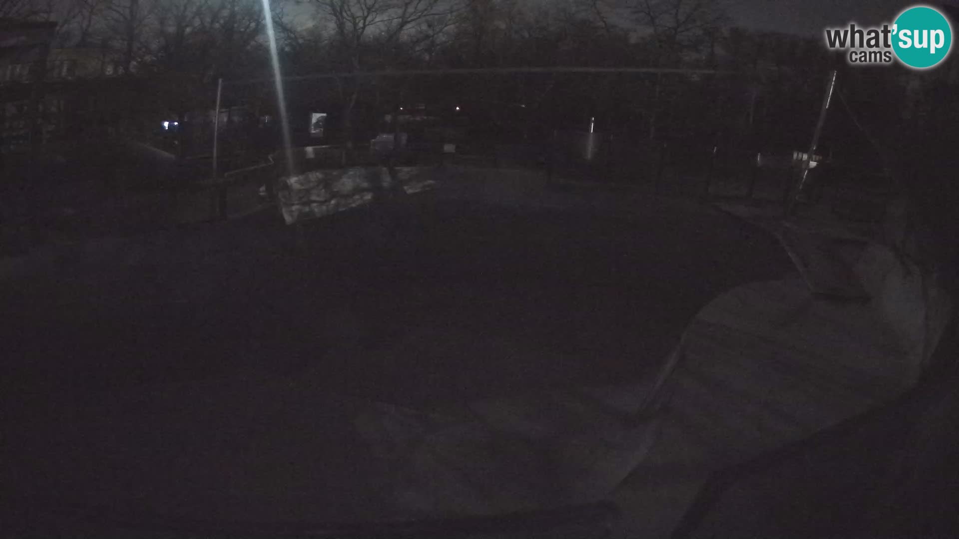 Zoo Zagreb – Kalifornijski morski lav