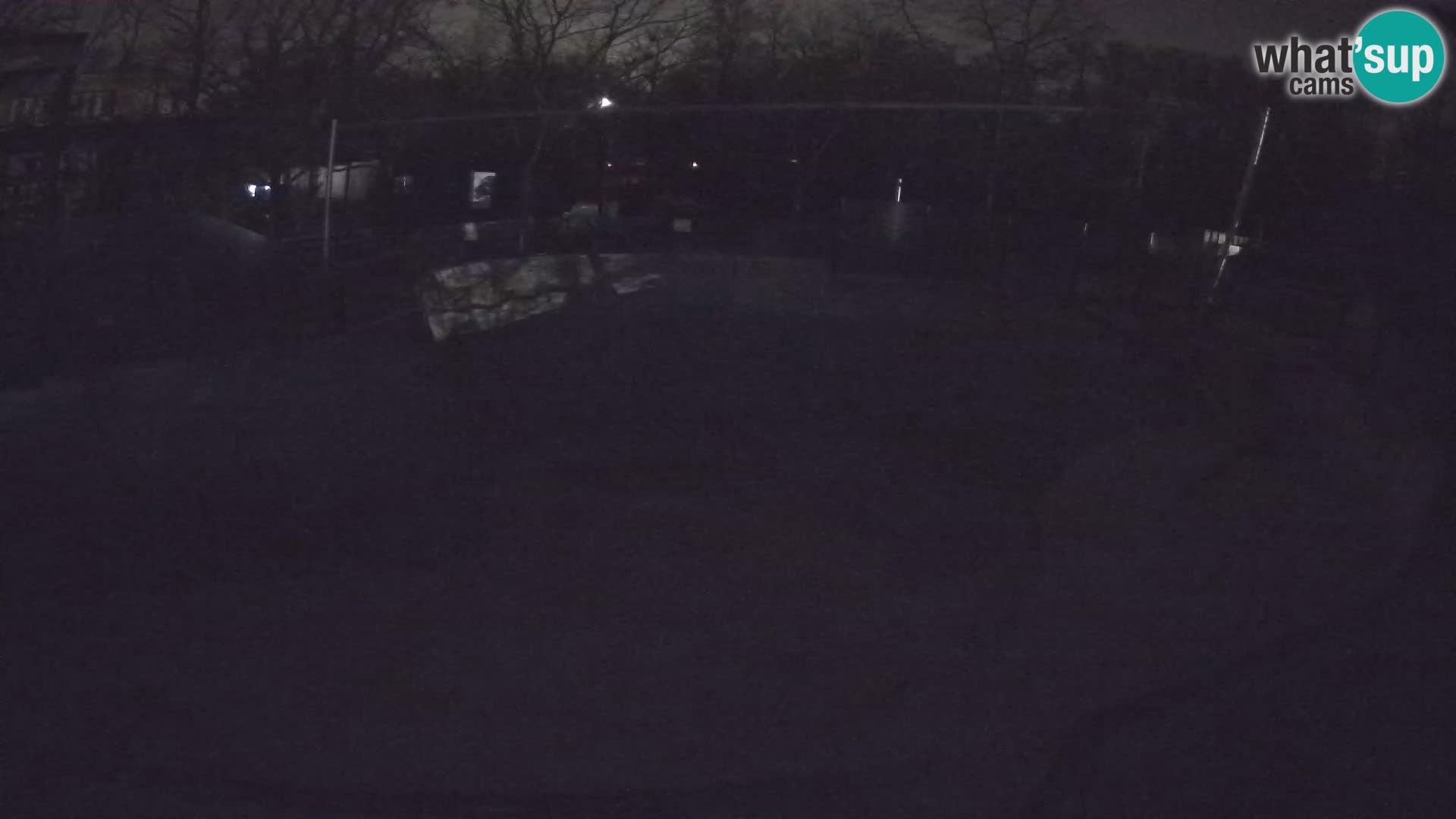 Zoo Zagreb – Kalifornijski morski lav