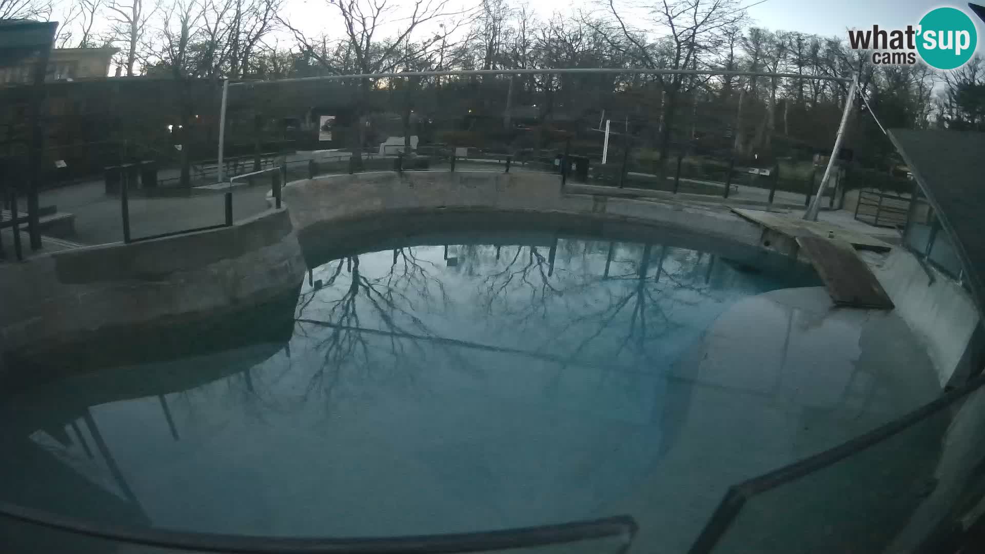 Zoo Zagreb –  León marino de California