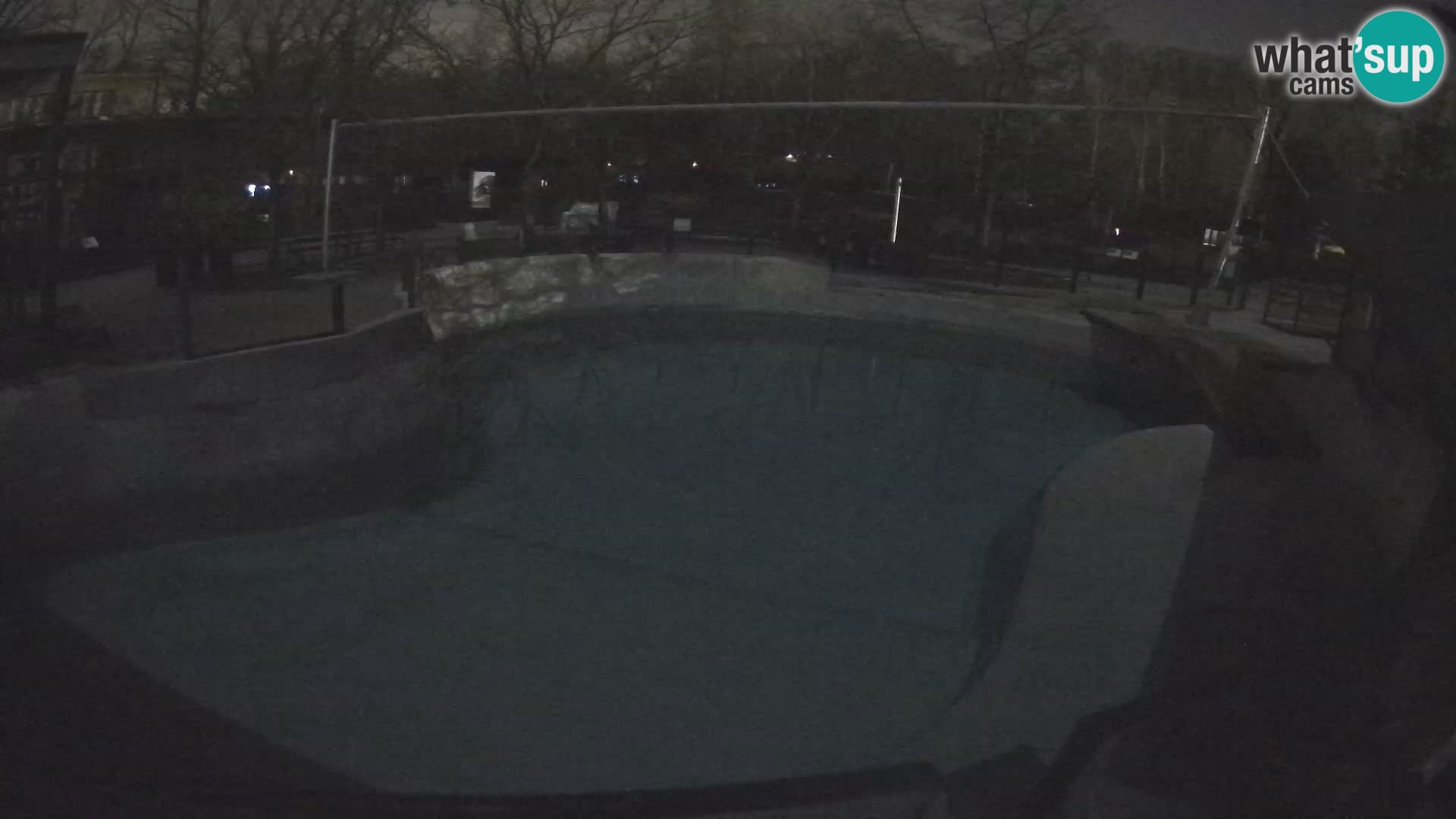 Zoo Zagreb – California Sea Lion