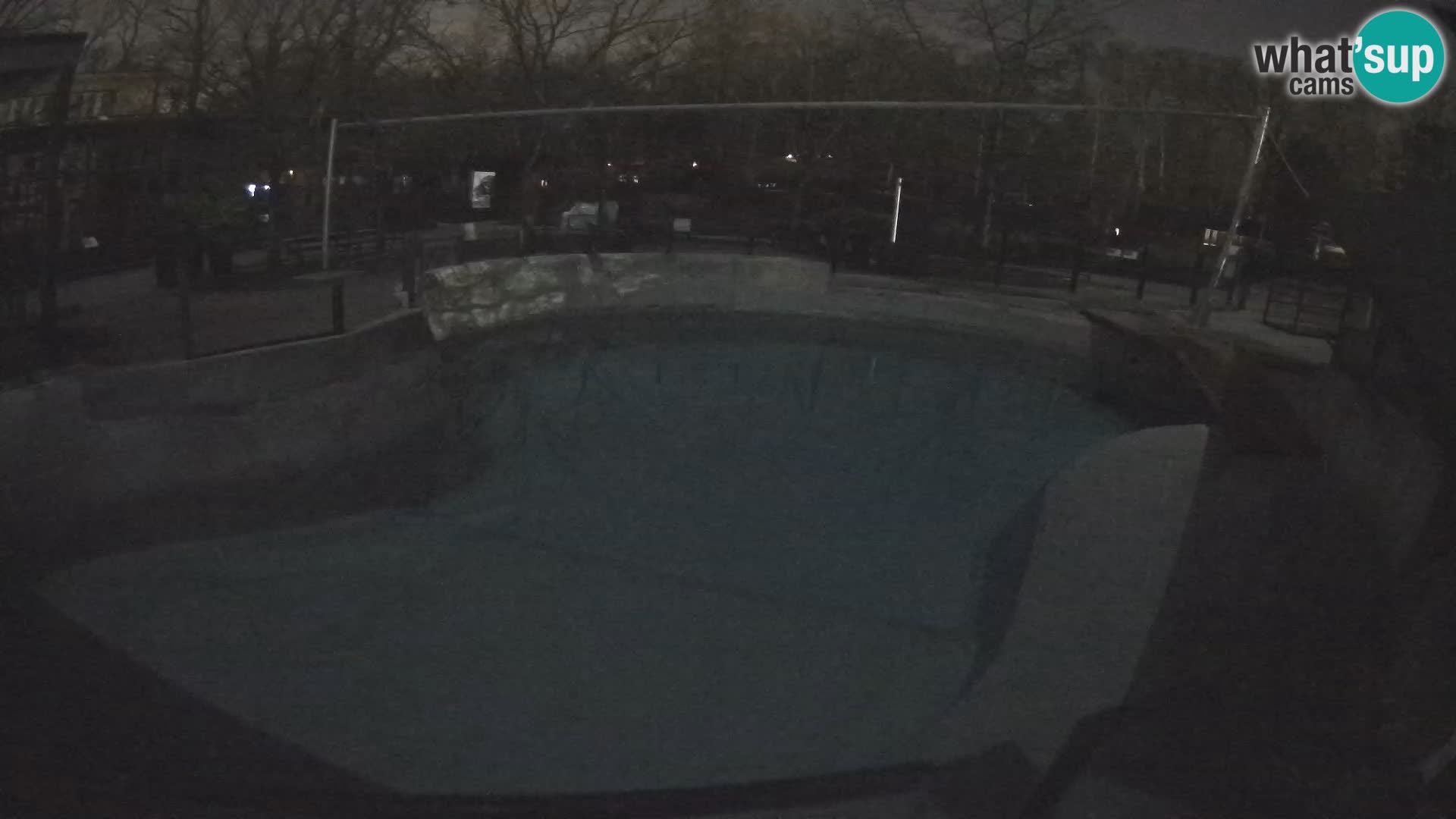 Zoo Zagreb –  León marino de California