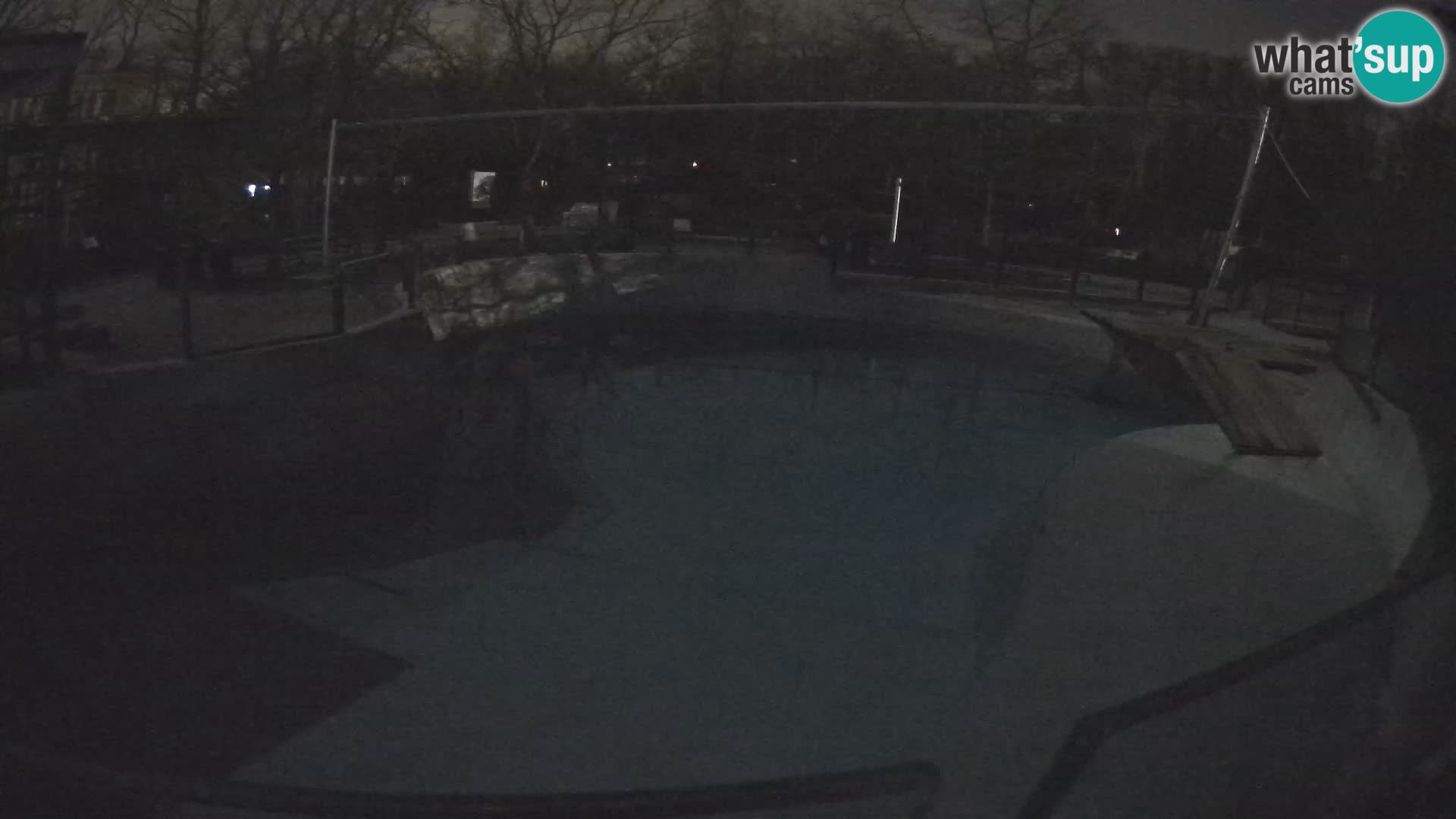 Zoo Zagreb – Otarie de Californie