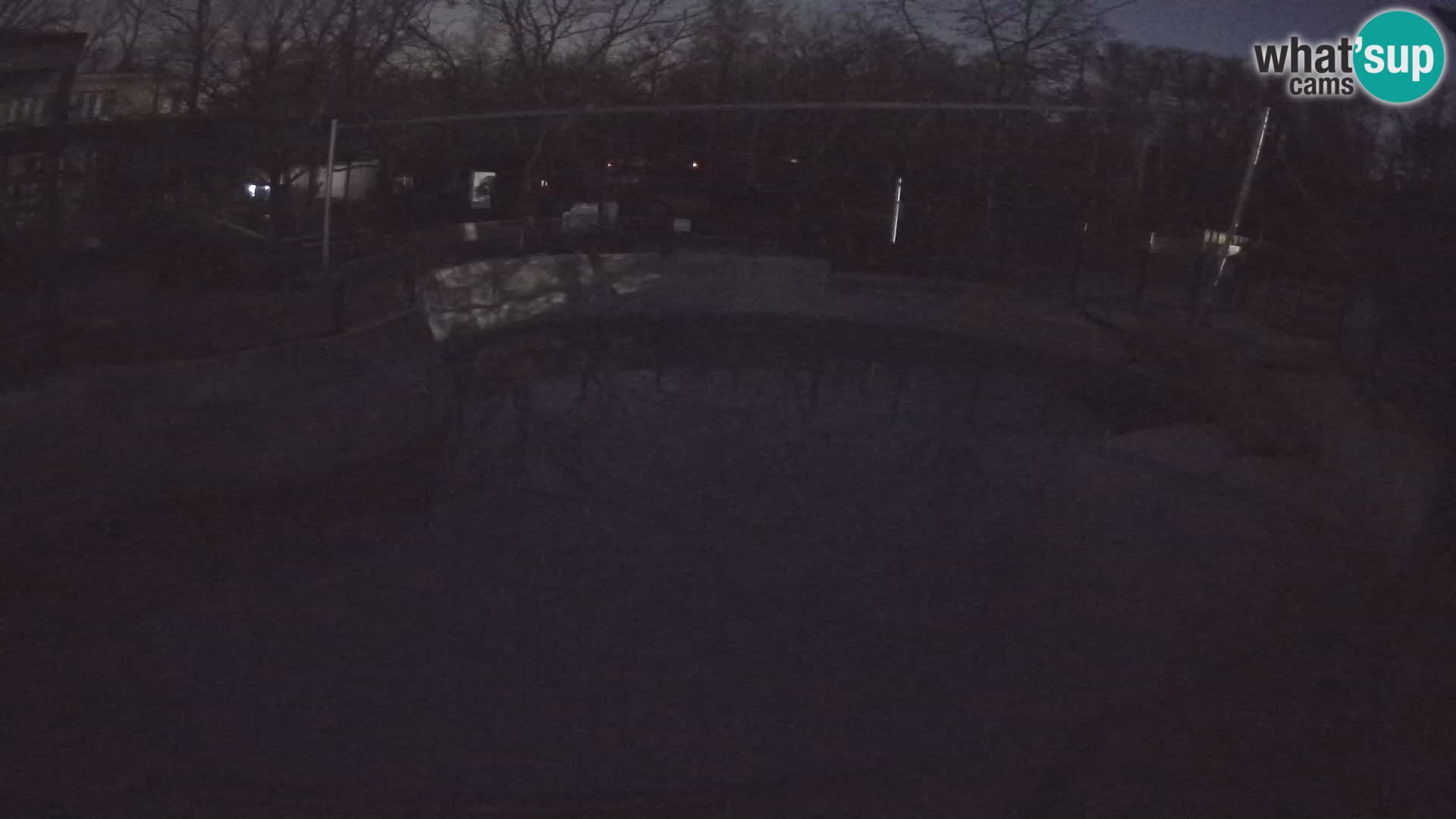 Zoo Zagreb – Otarie de Californie