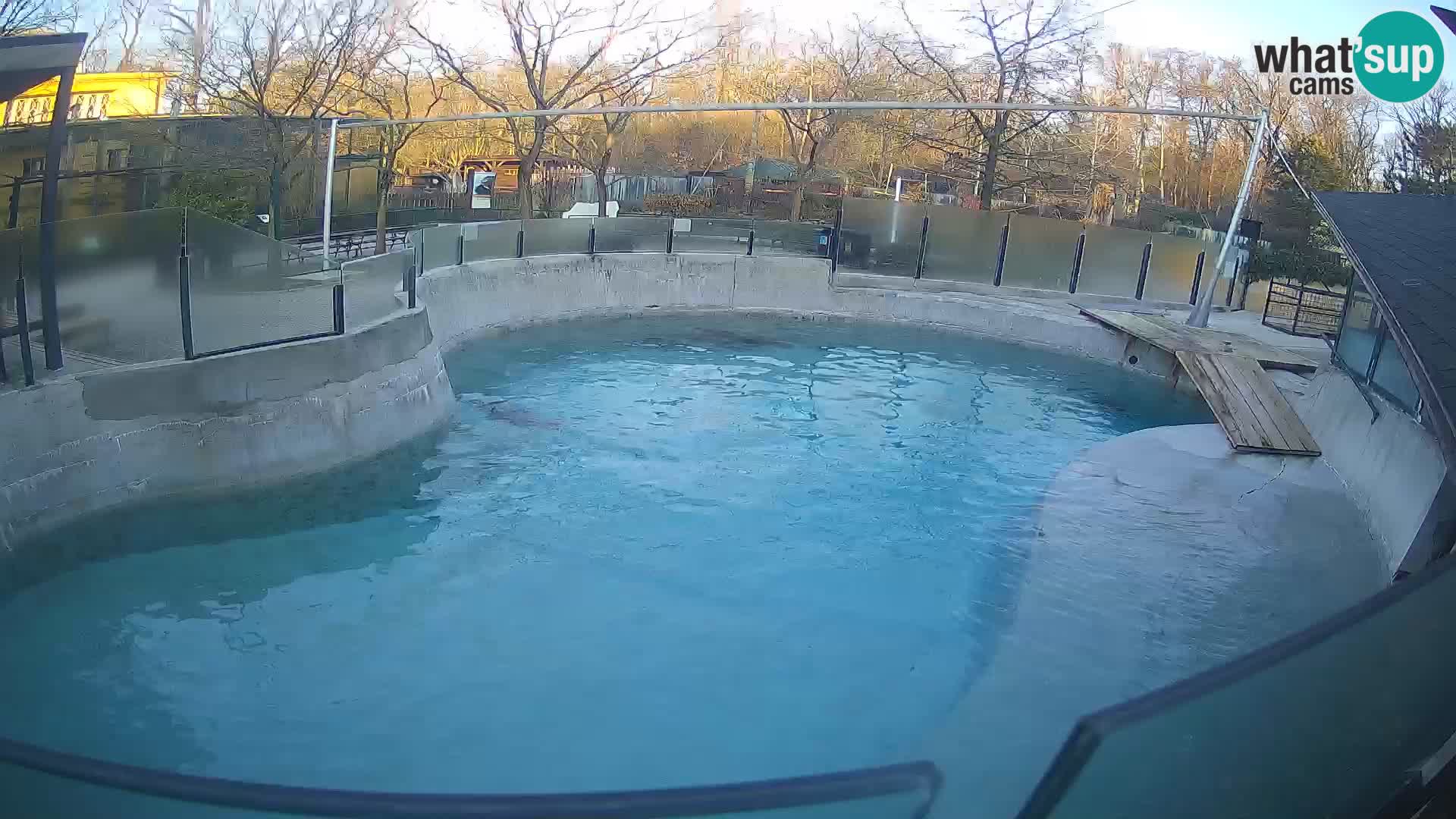 Zoo Zagreb – Otarie de Californie