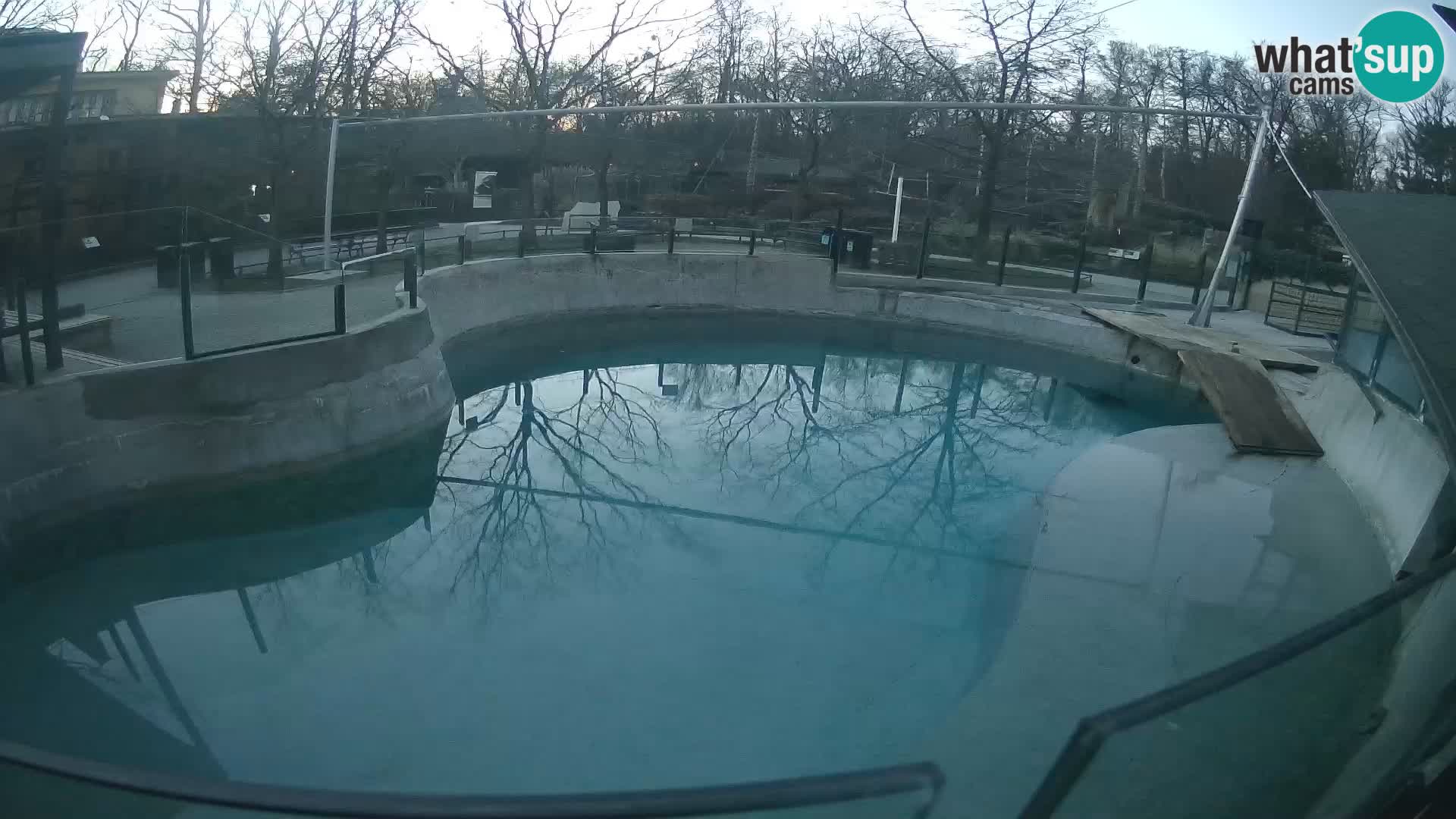 Zoo Zagreb – Kalifornijski morski lav