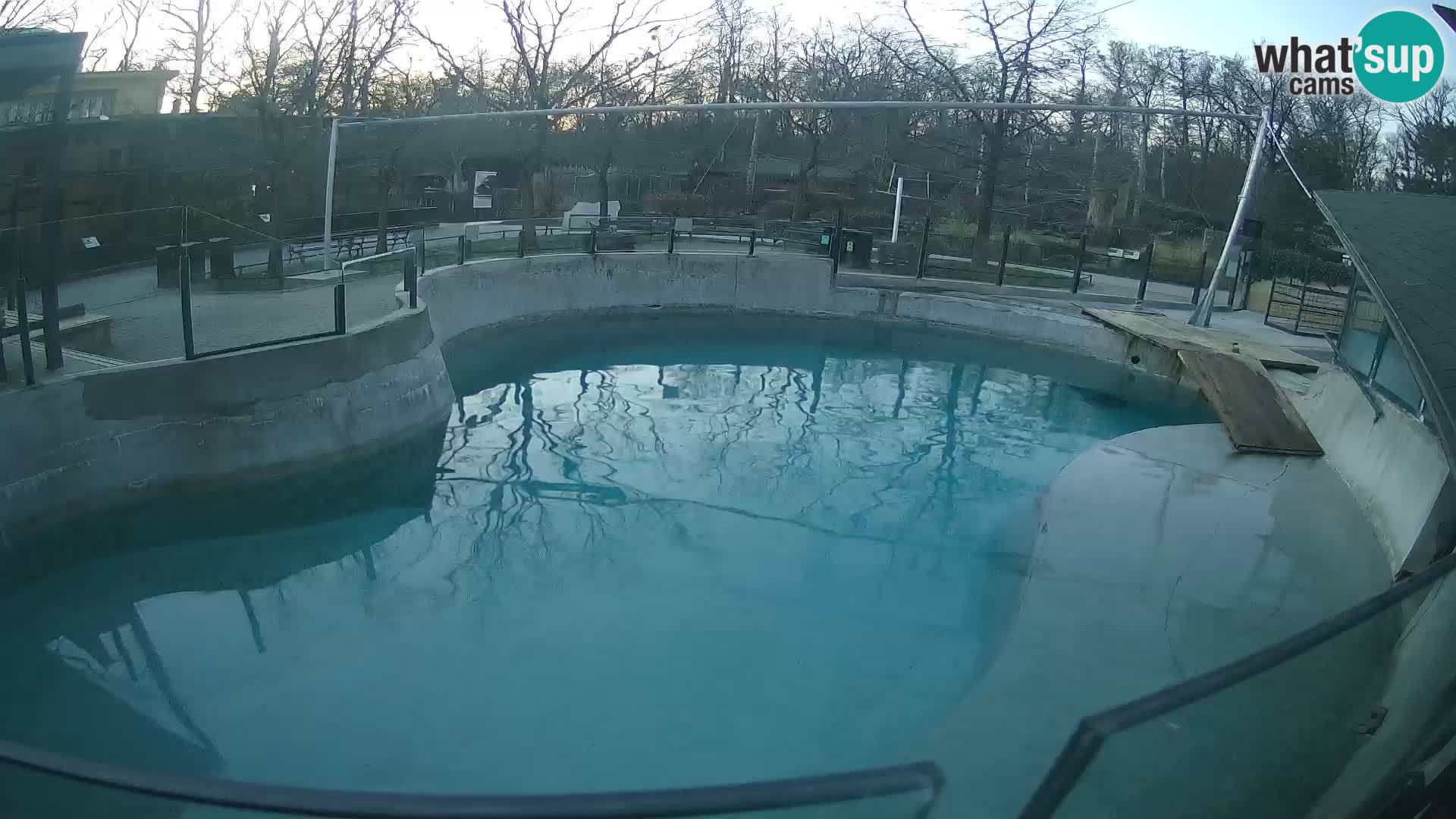 Zoo Zagreb – Otarie de Californie