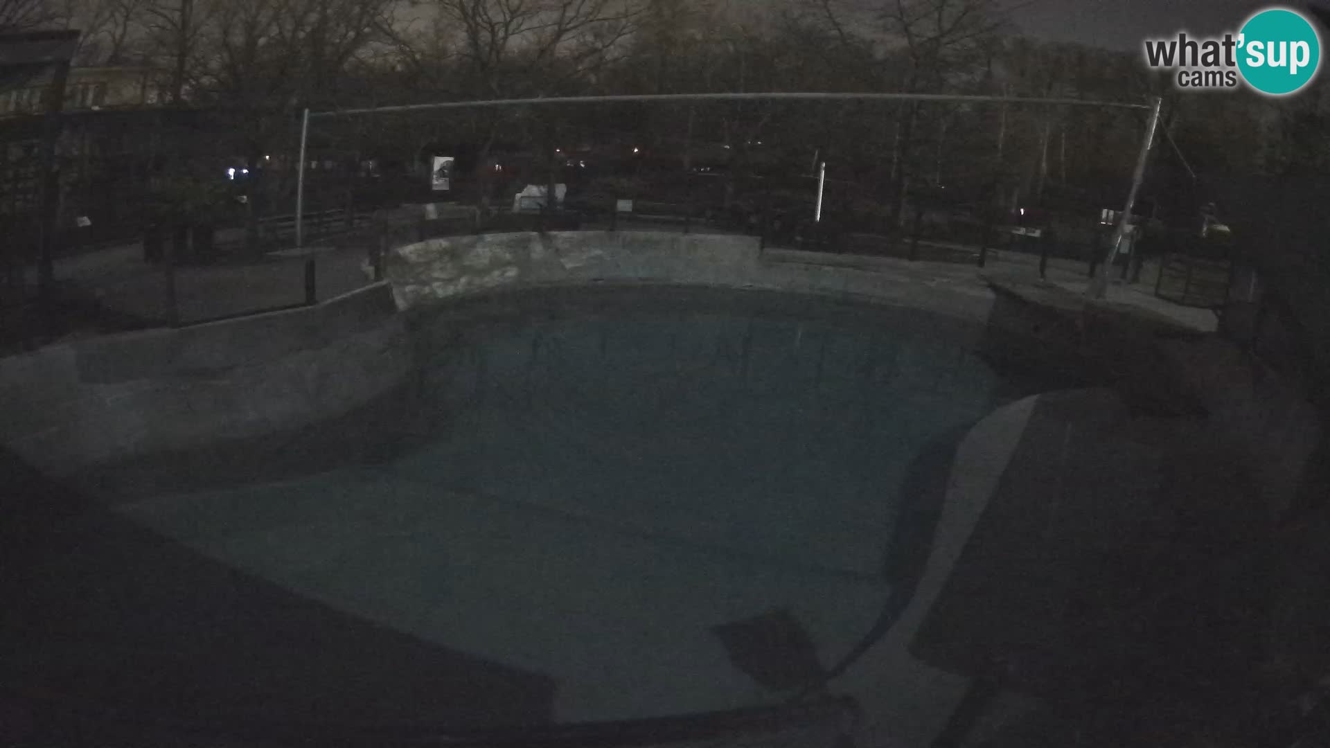 Zoo Zagreb – Otarie de Californie