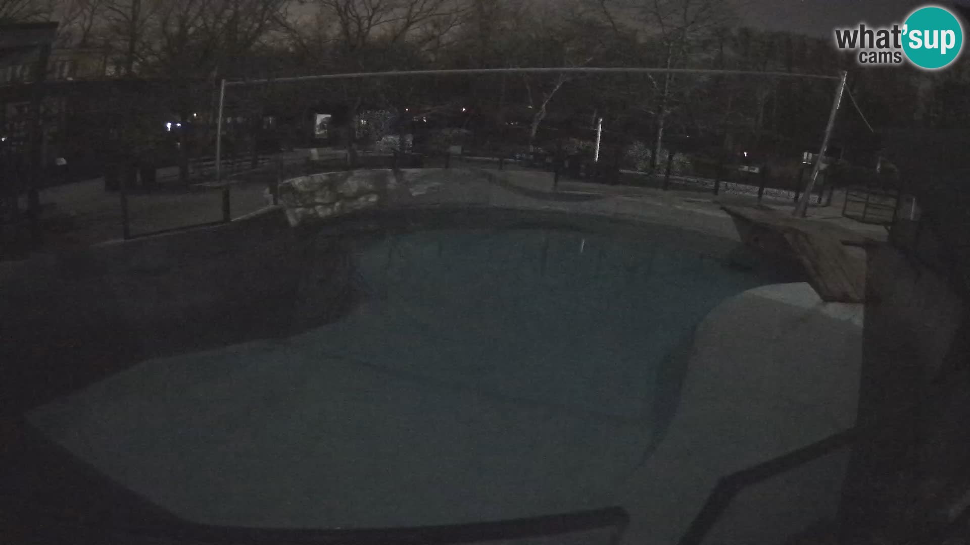 Zoo Zagreb – Kalifornijski morski lav