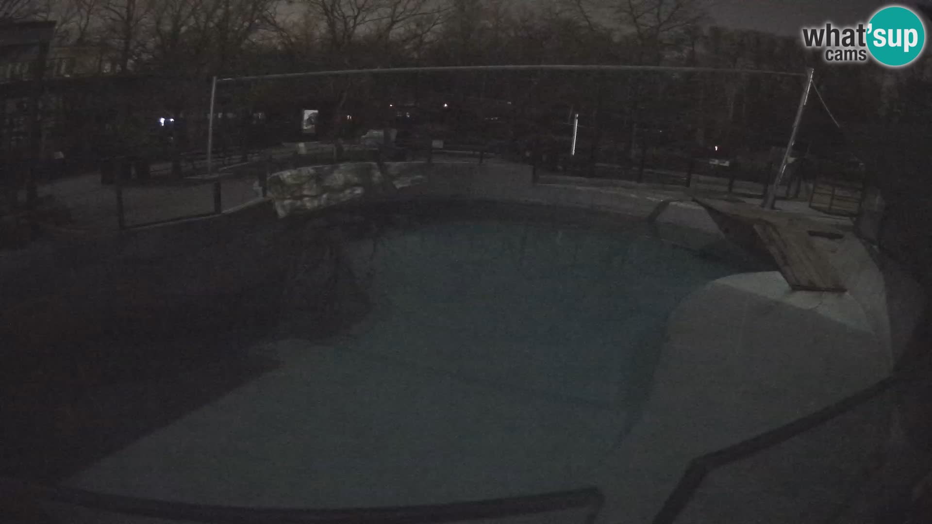 Zoo Zagreb – Kalifornijski morski lav