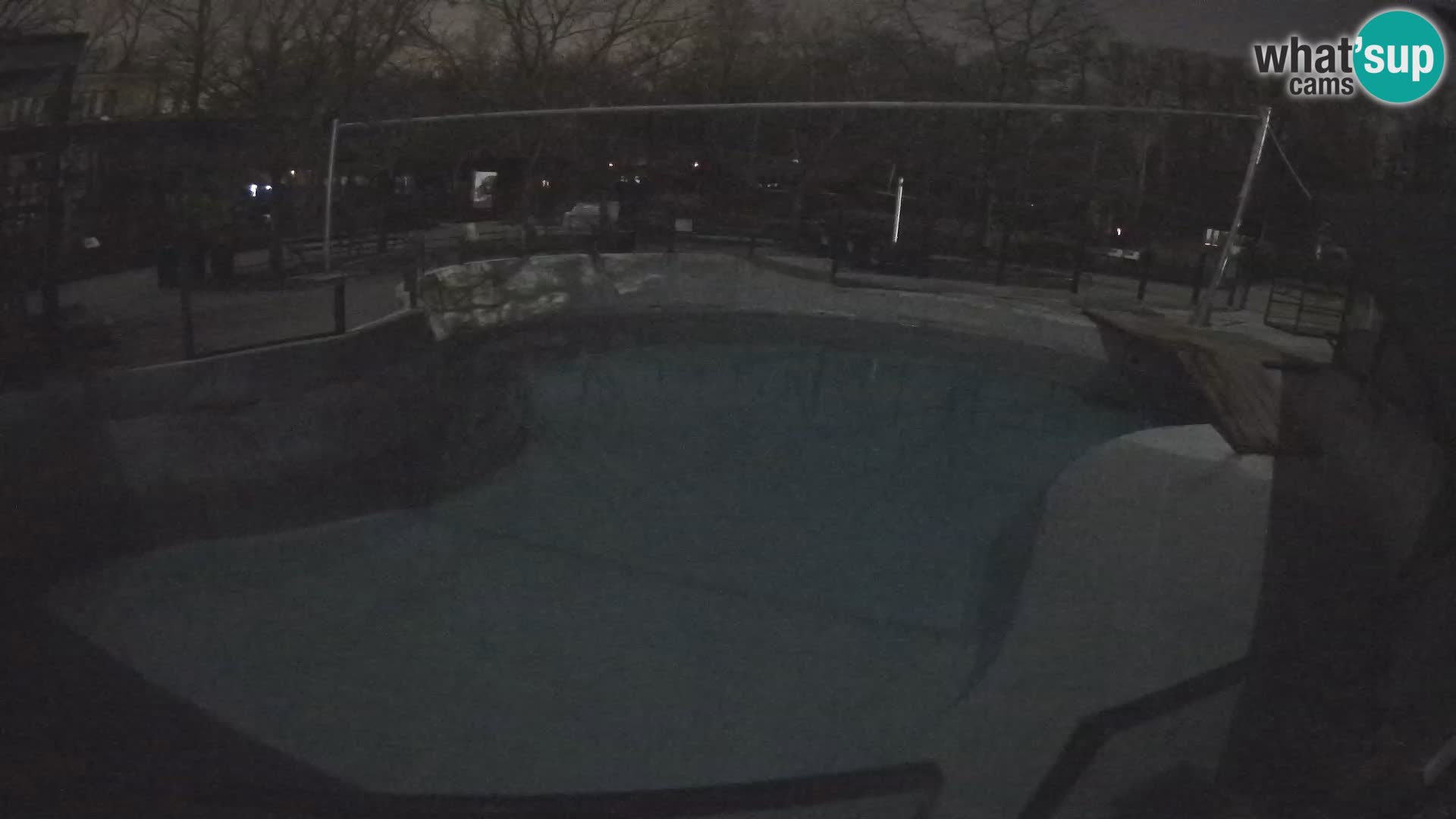 Zoo Zagreb – Kalifornijski morski lav