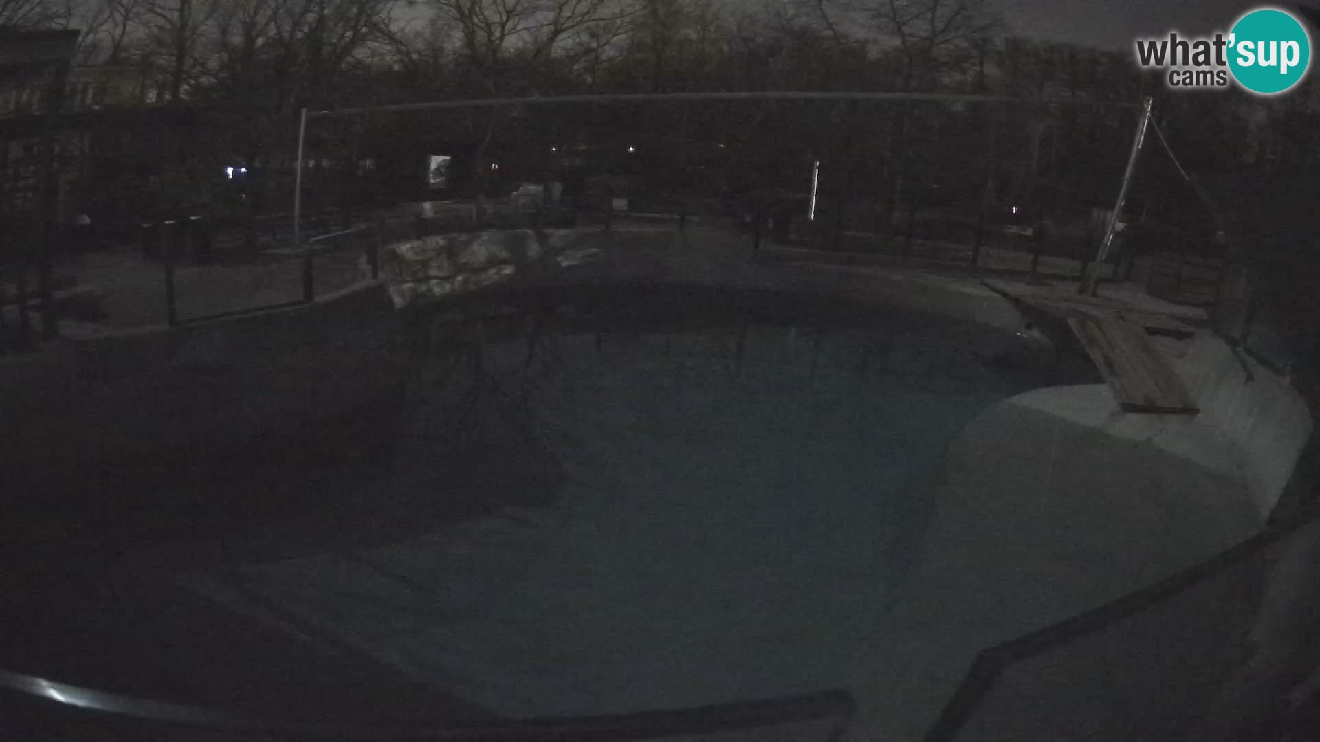 Zoo Zagreb –  León marino de California