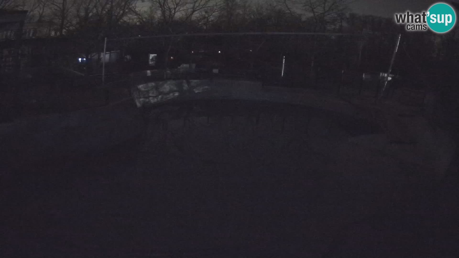 Zoo Zagreb –  León marino de California