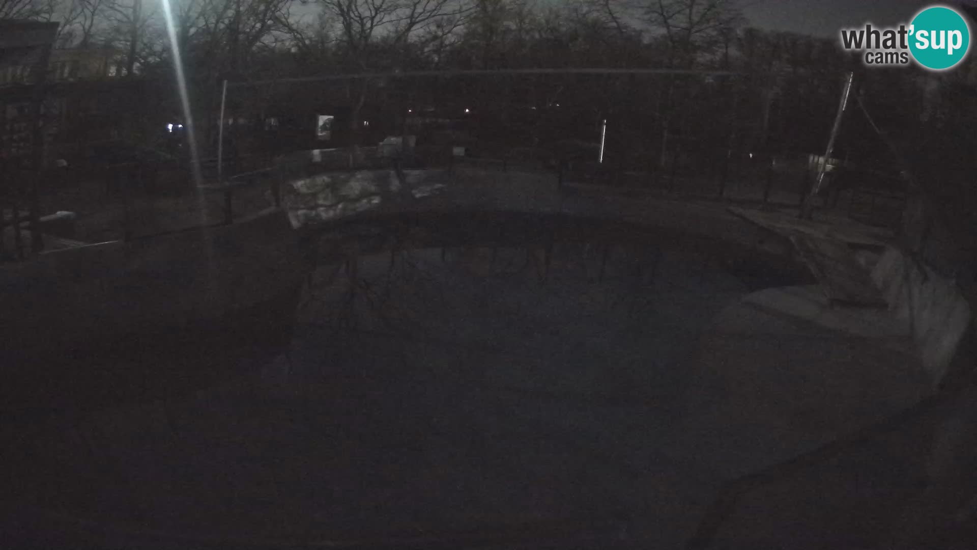 Zoo Zagreb – Kalifornijski morski lav