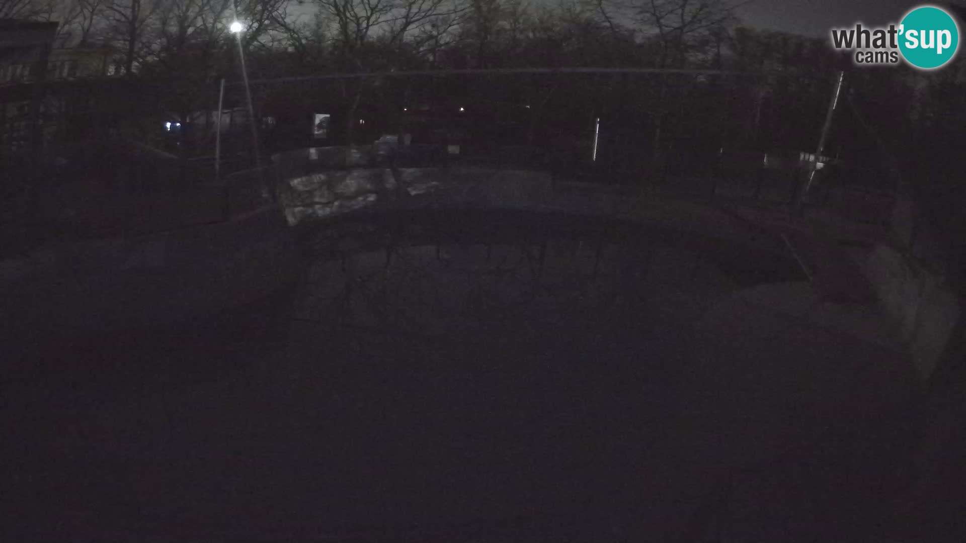 Zoo Zagreb – Otaria della California