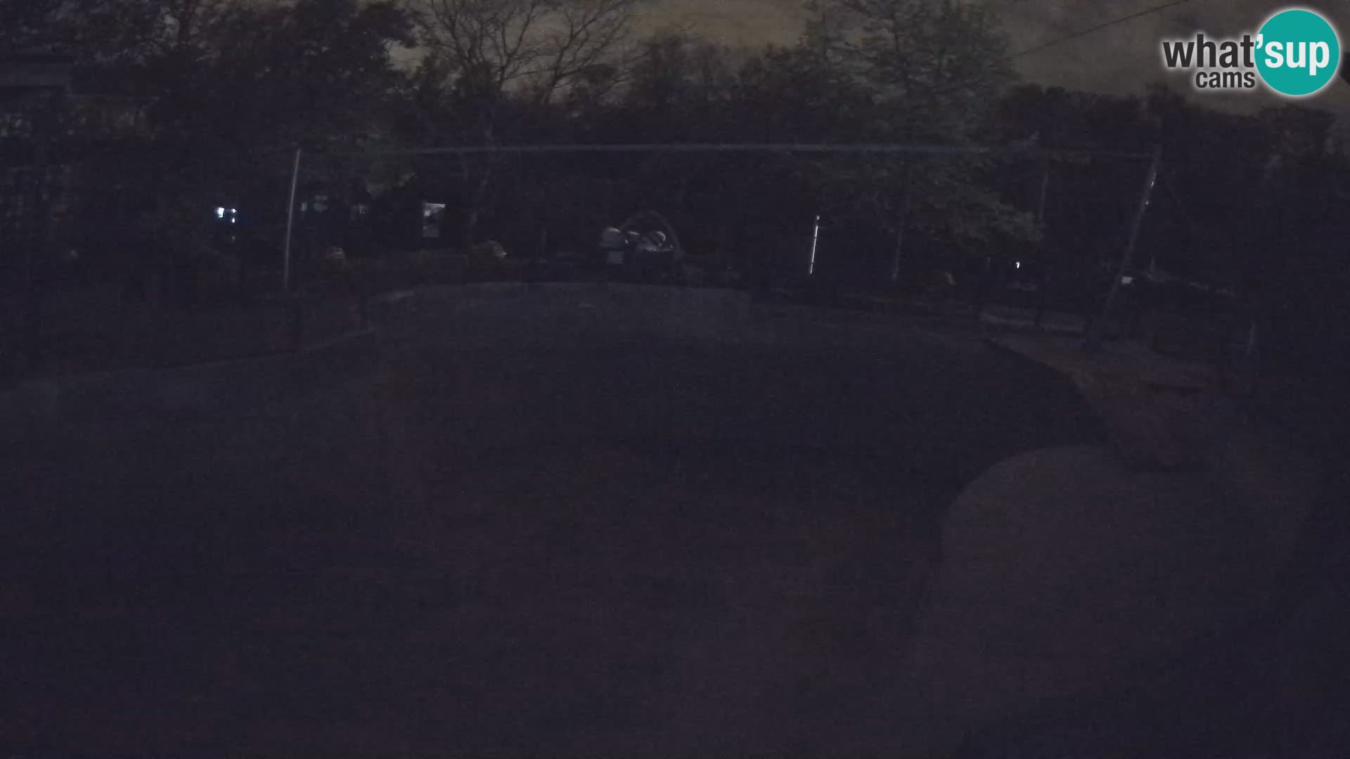 Zoo Zagreb – Kalifornijski morski lav