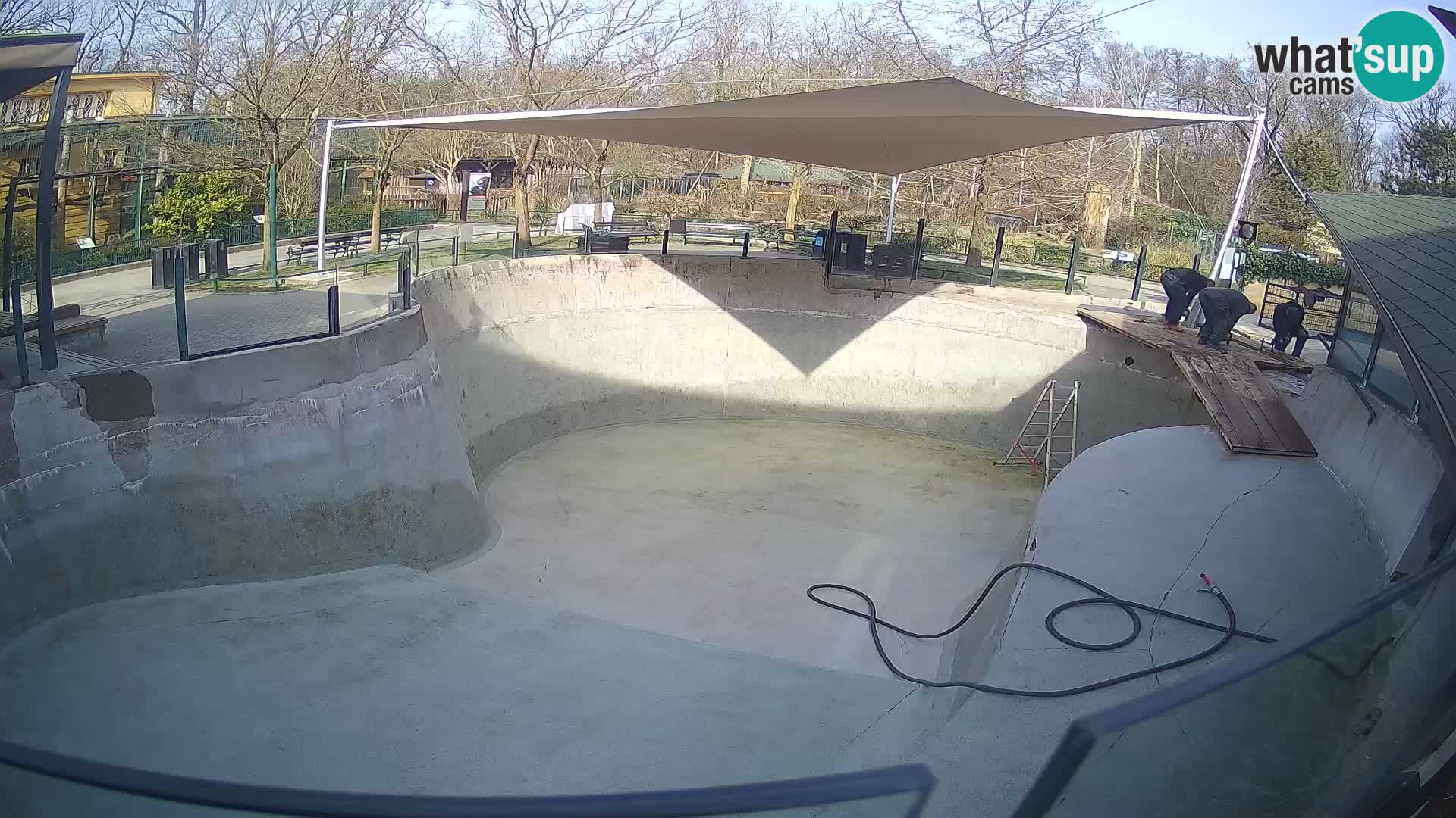 Zoo Zagreb – Kalifornijski morski lav