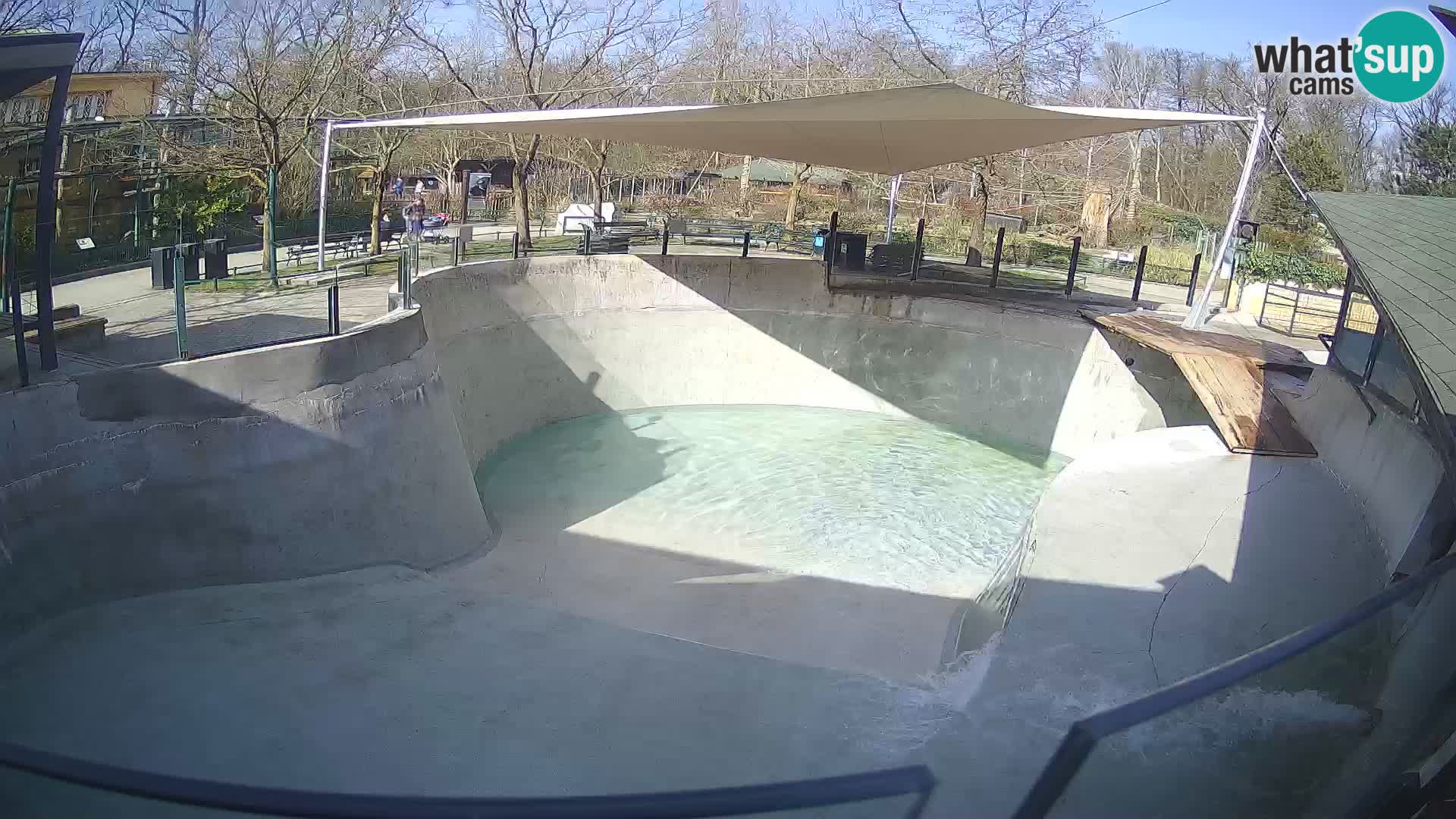 Zoo Zagreb –  León marino de California