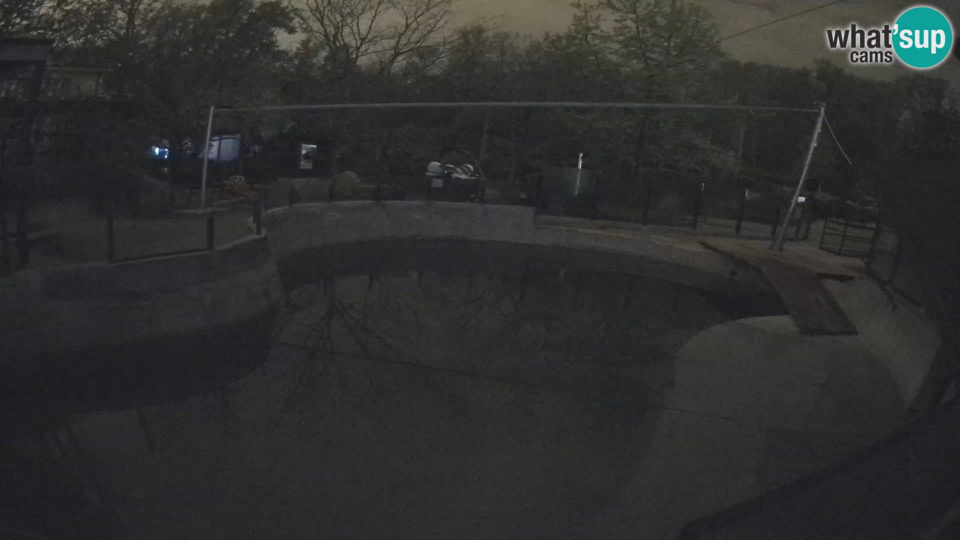 Zoo Zagreb – Kalifornijski morski lav