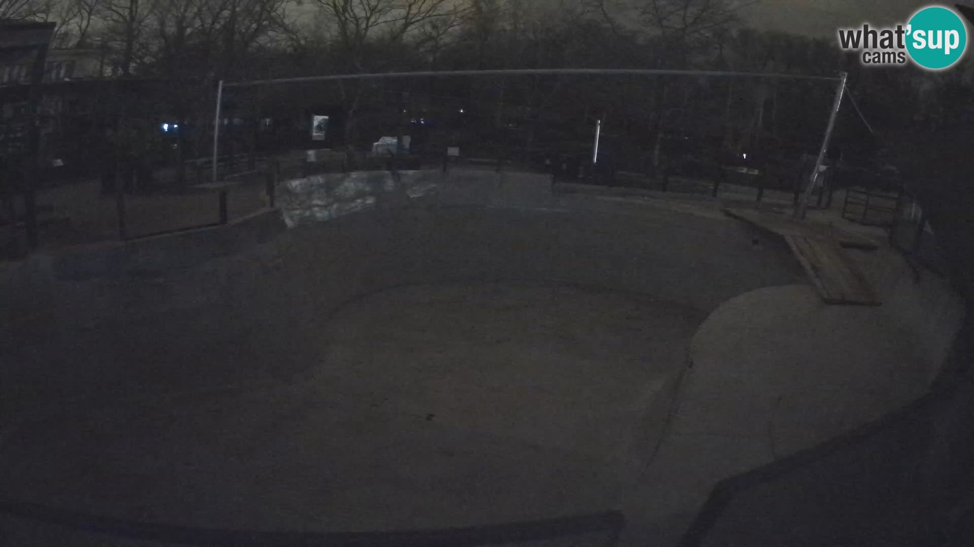 Zoo Zagreb – Kalifornijski morski lav