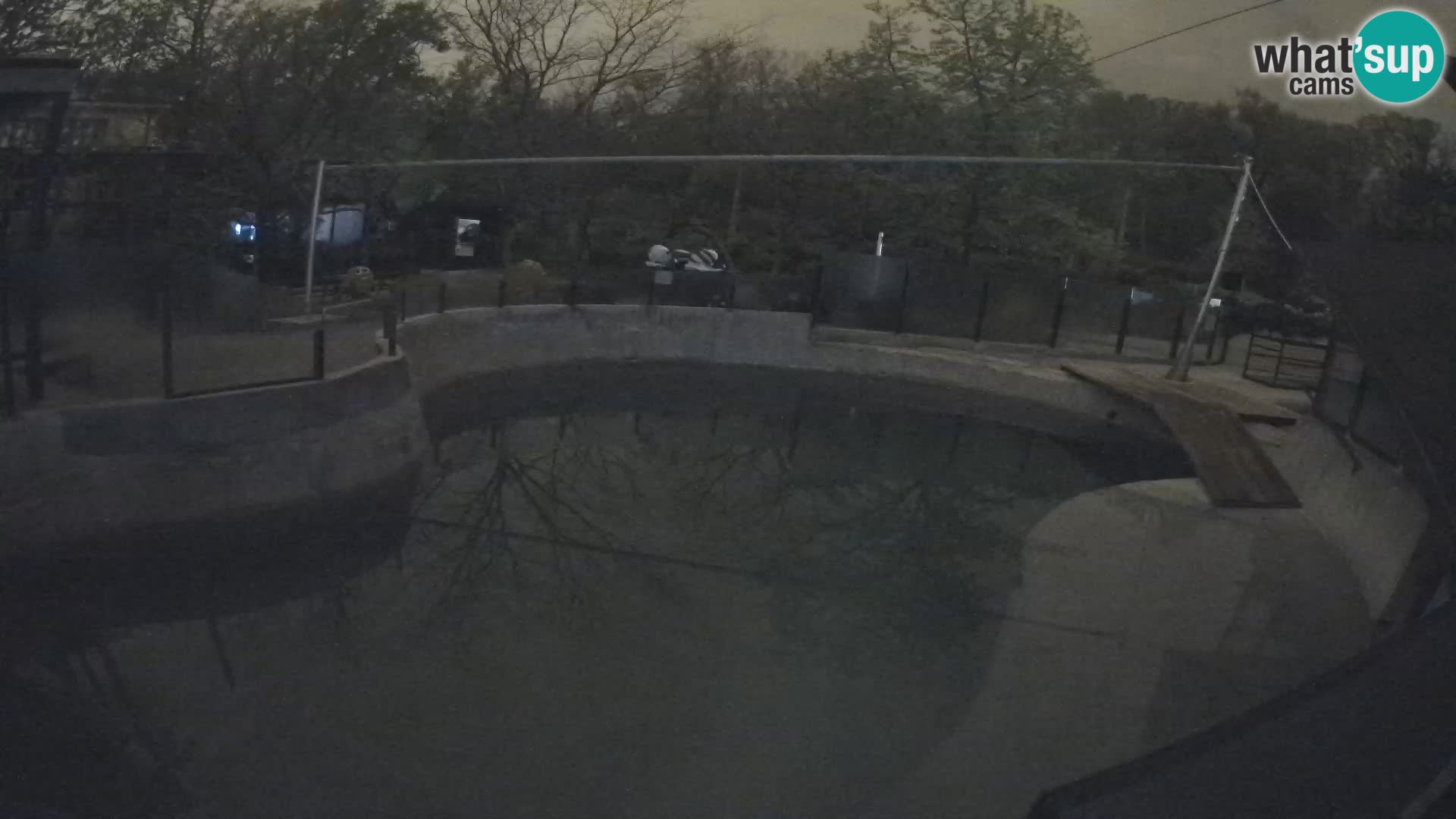 Zoo Zagreb –  León marino de California