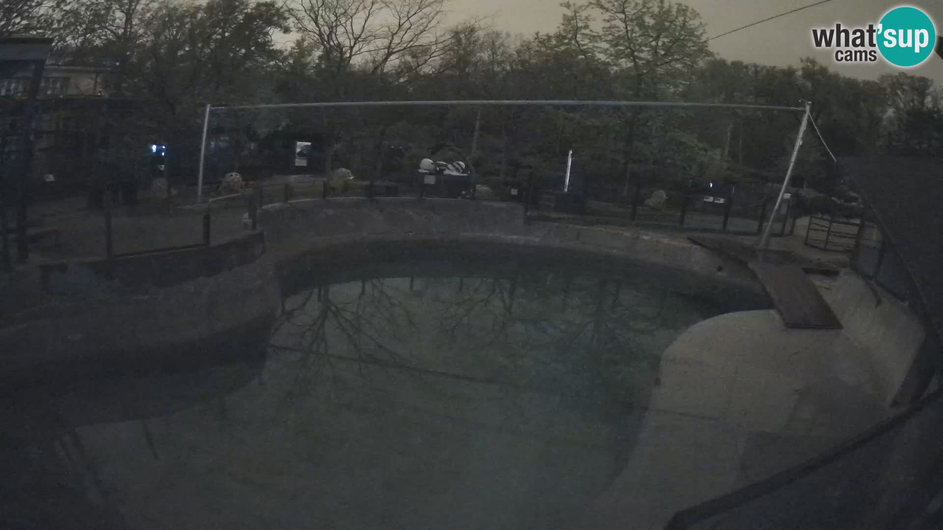 Zoo Zagreb – Otarie de Californie