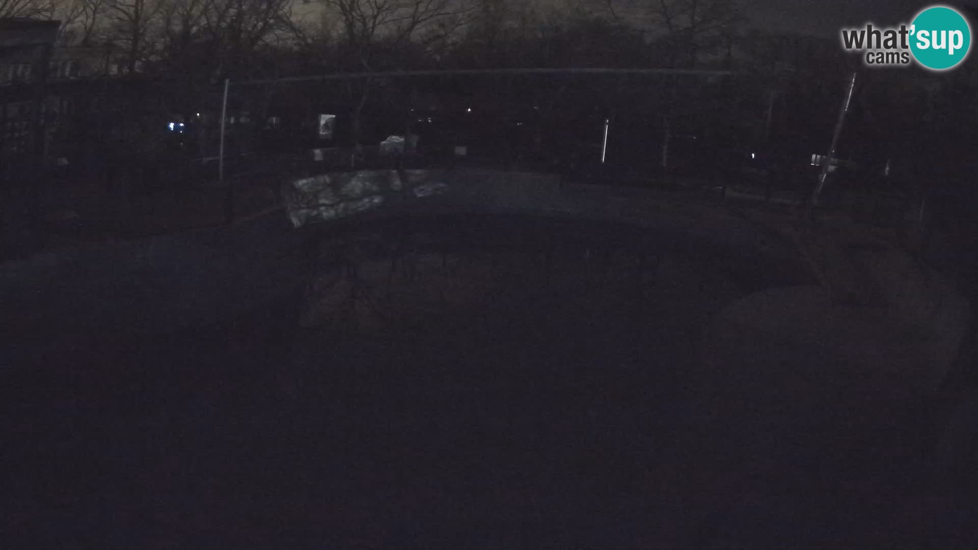 Zoo Zagreb –  León marino de California