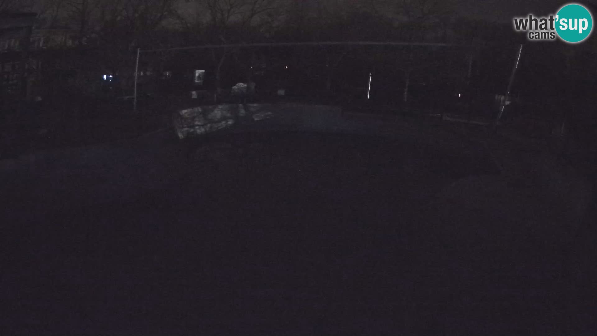 Zoo Zagreb – Otarie de Californie