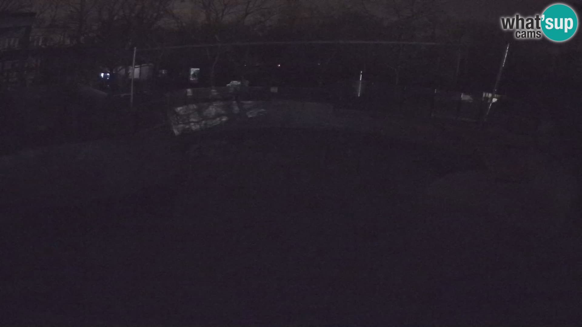 Zoo Zagreb –  León marino de California