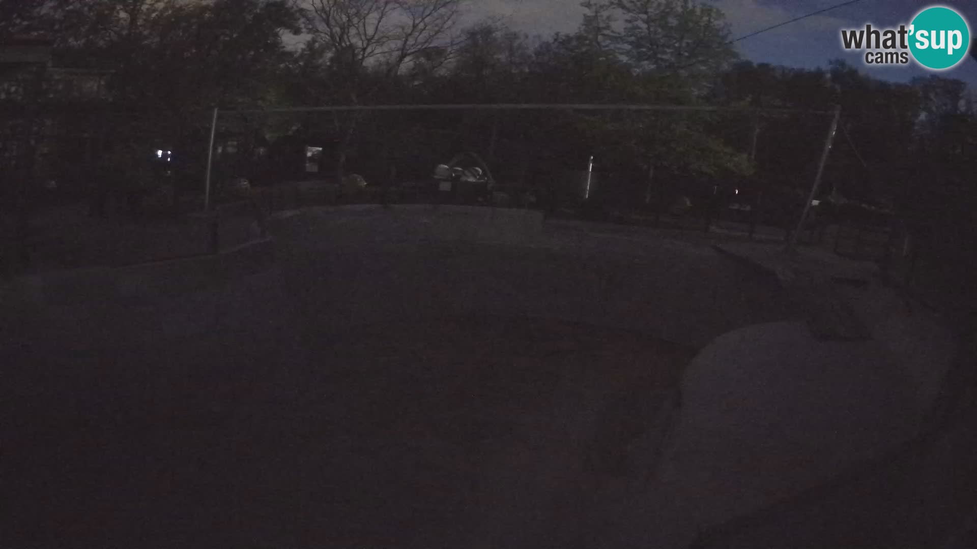 Zoo Zagreb –  León marino de California